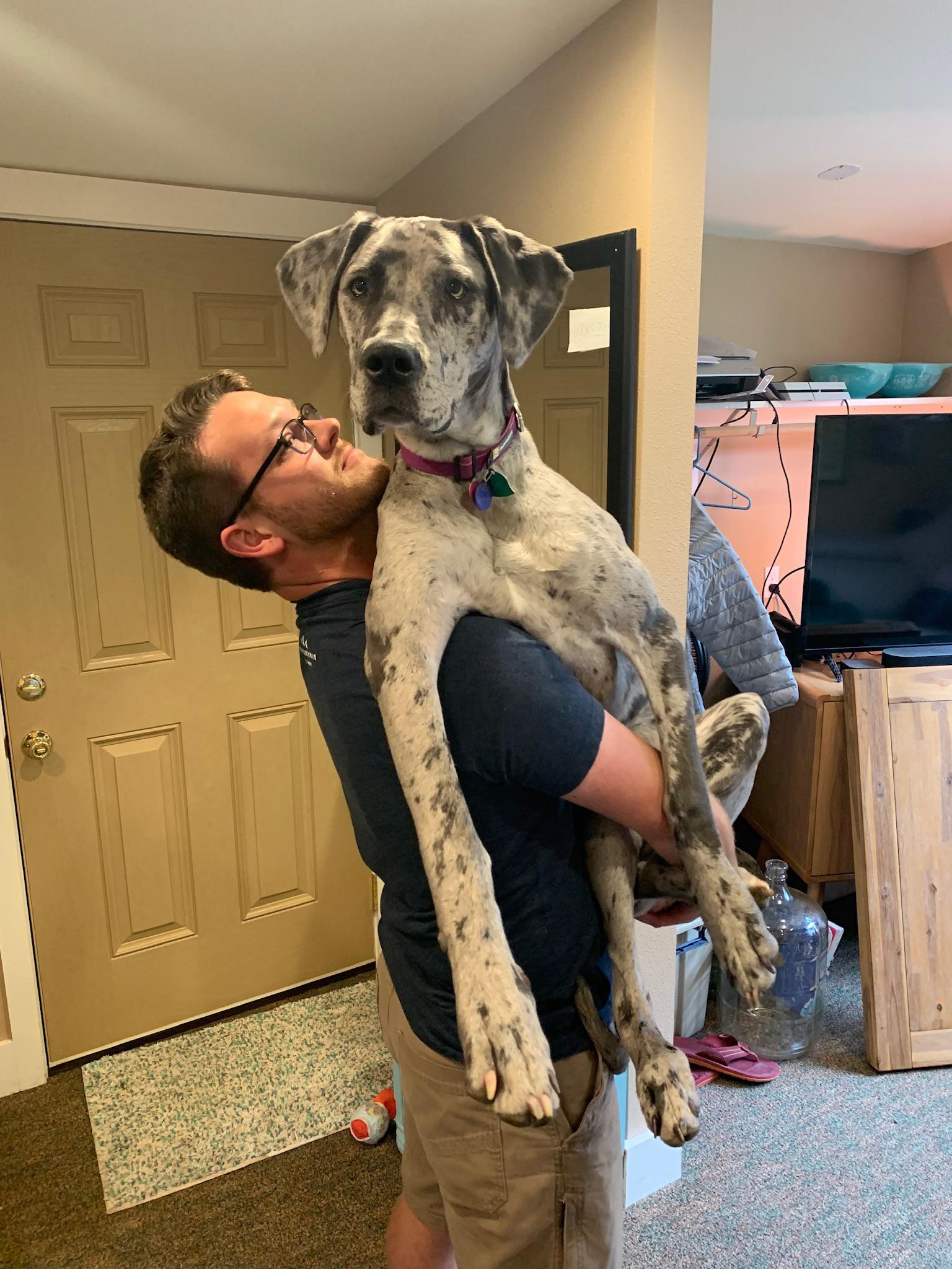 She may be a pony now, but Pepper still loves being carried like a baby
