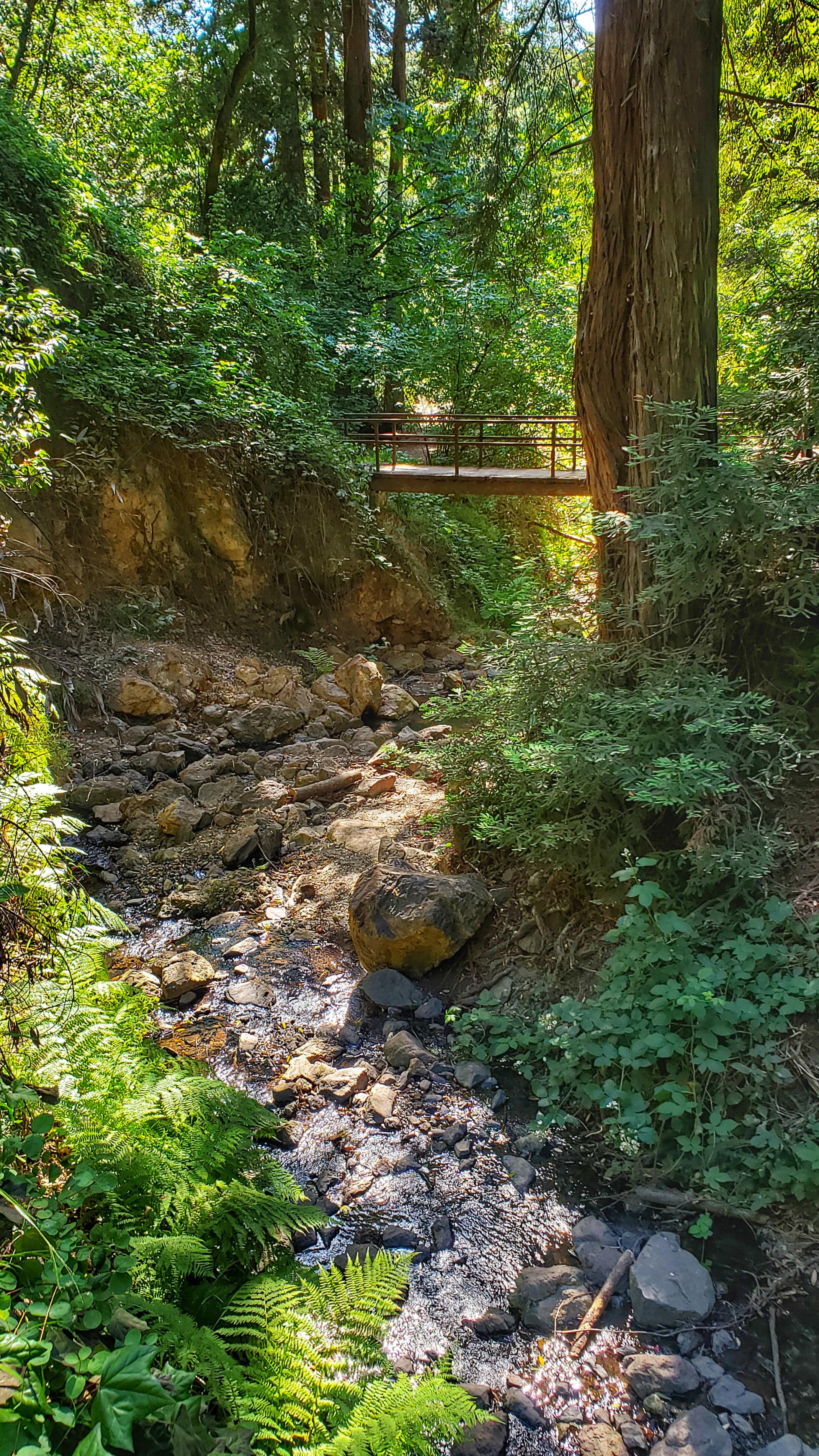 Beautiful hiking views on the York Trail today....hard to believe this