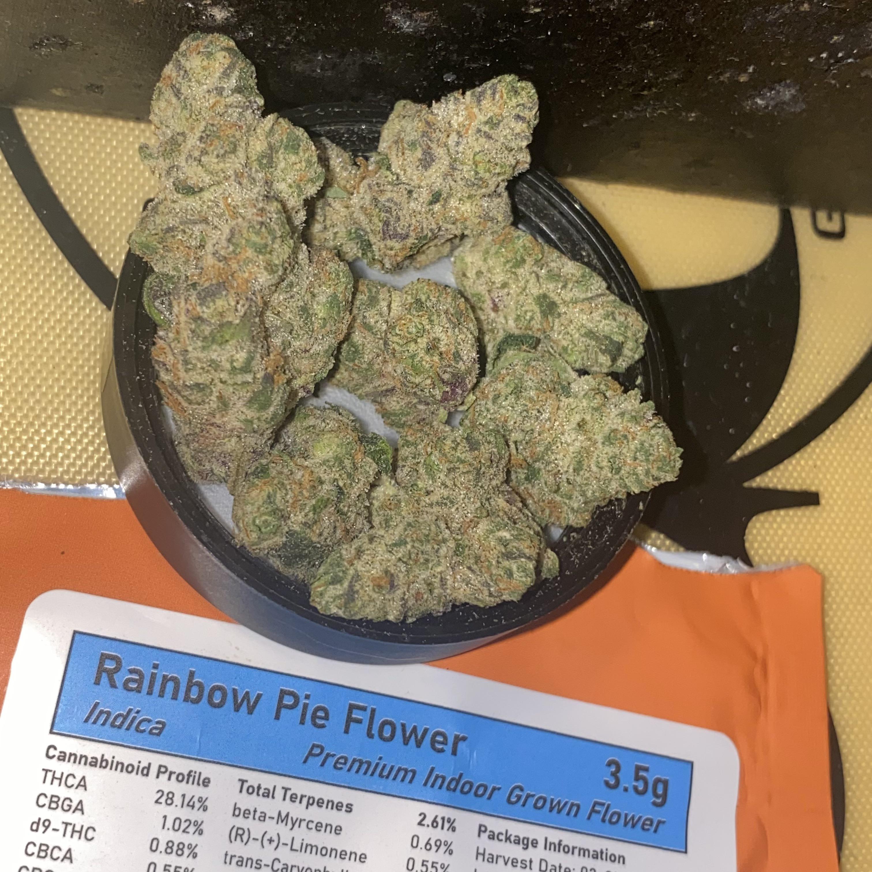 Rainbow Pie Rainbow Chip x Pie GAGE Earth & Ivy