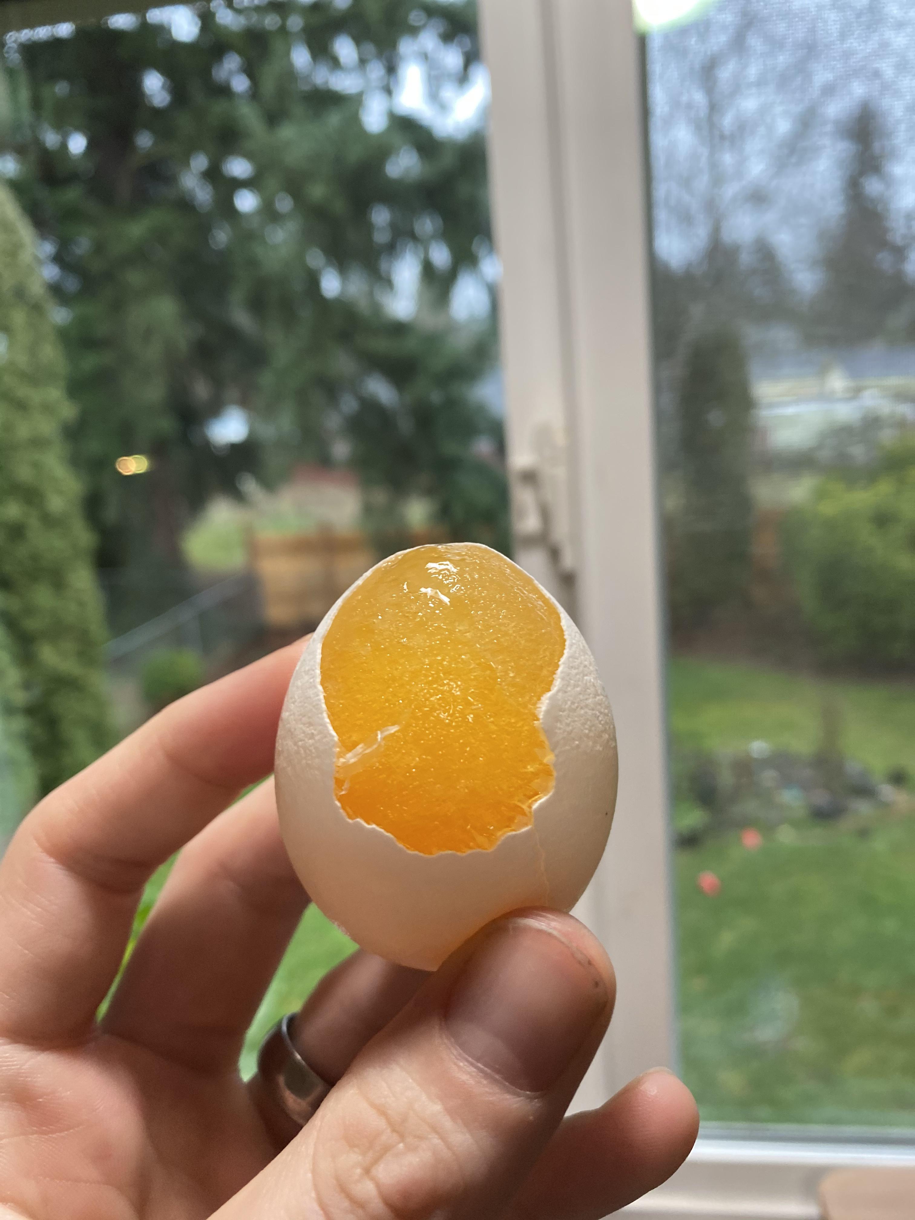 Frozen egg from the back of the fridge. mildlyinteresting