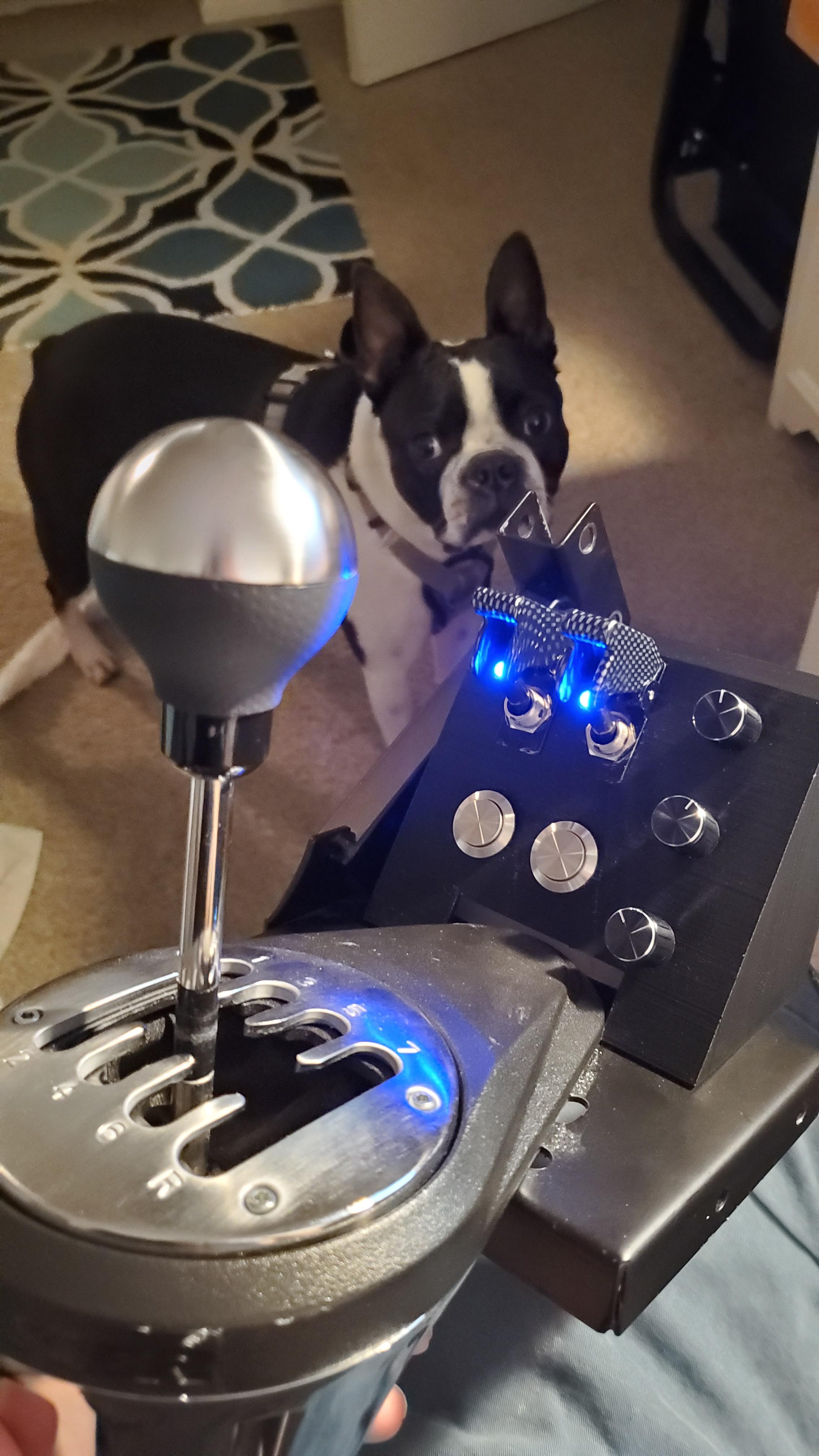 I made a button box for my shifter mount, dog for scale