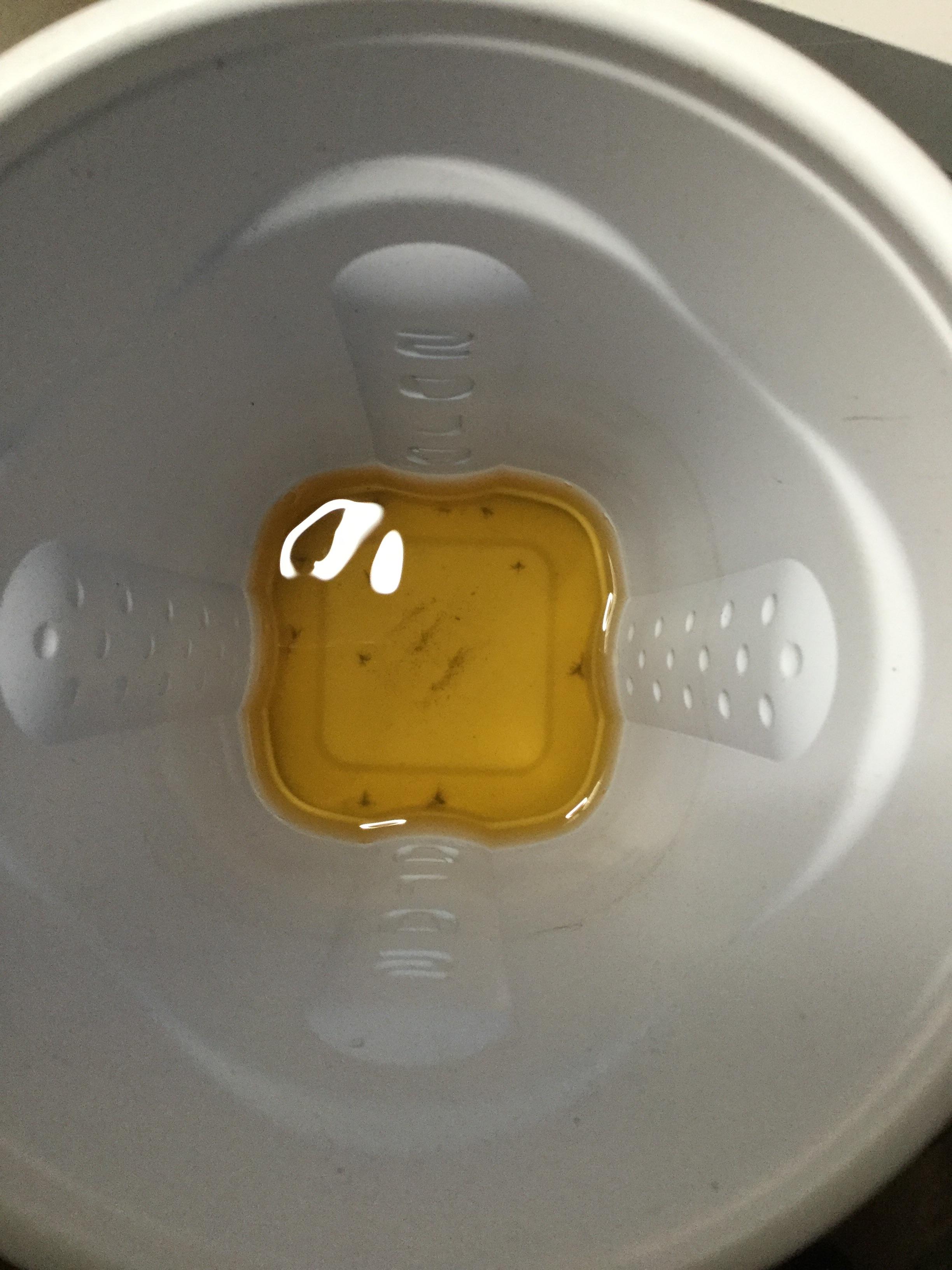 Apple Cider Vinegar + Dish Soap = DIY Thrip Trap r/microgrowery