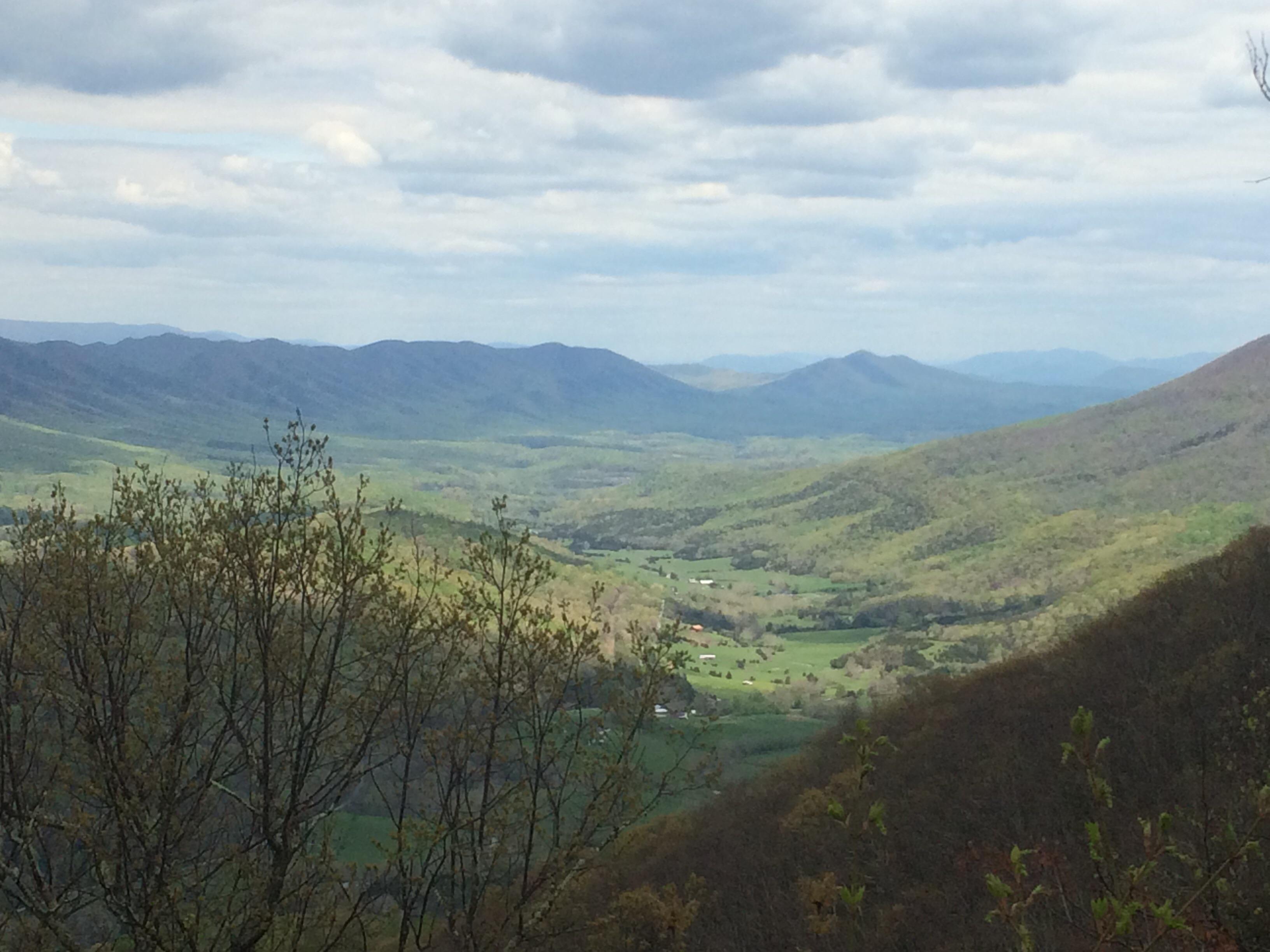 126 best Southwest Virginia images on Pholder Whatsthisbug, Virginia and Spiders