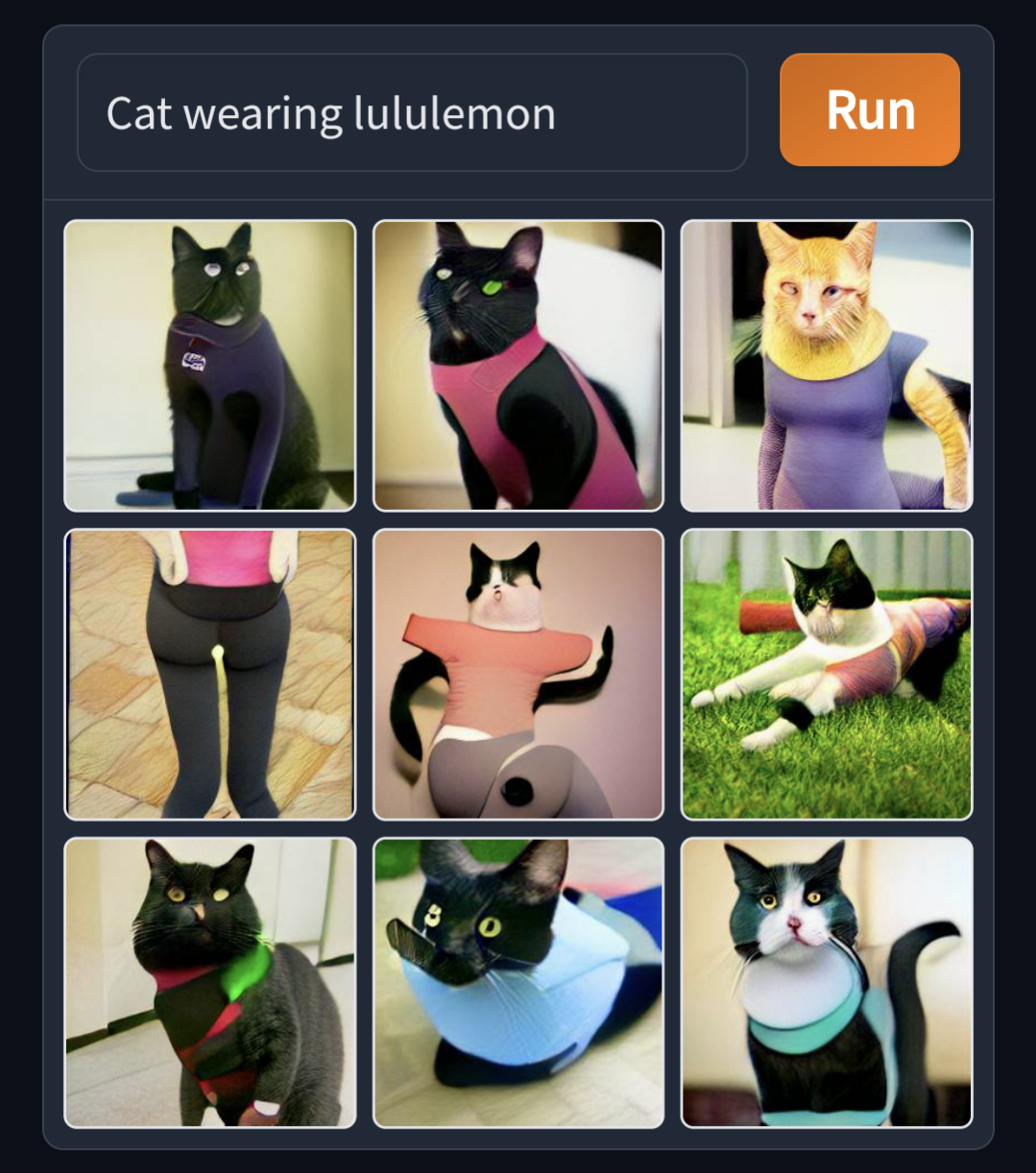 cat wearing lululemon weirddalle