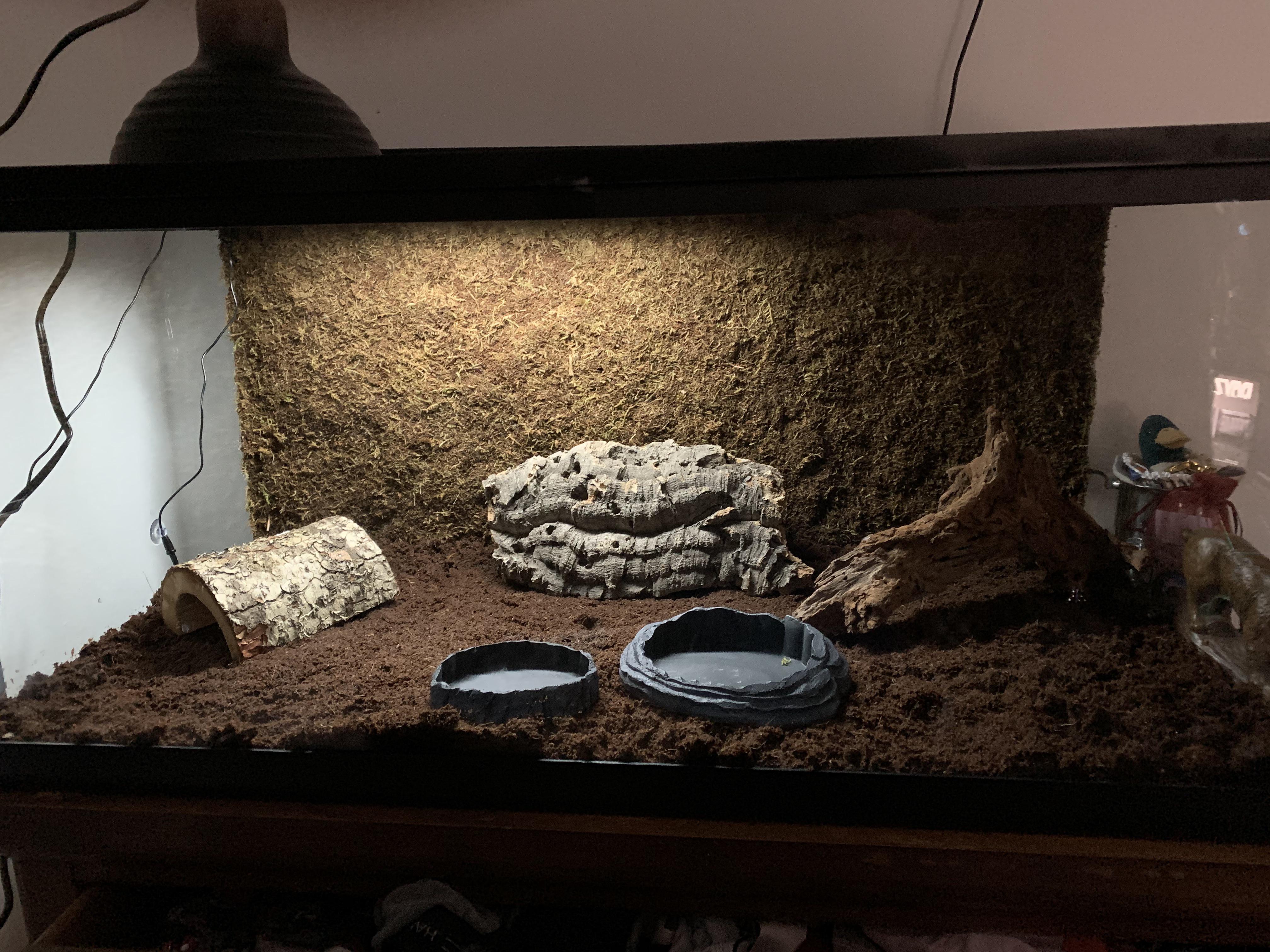 40 Gallon Terrarium r/reptiles