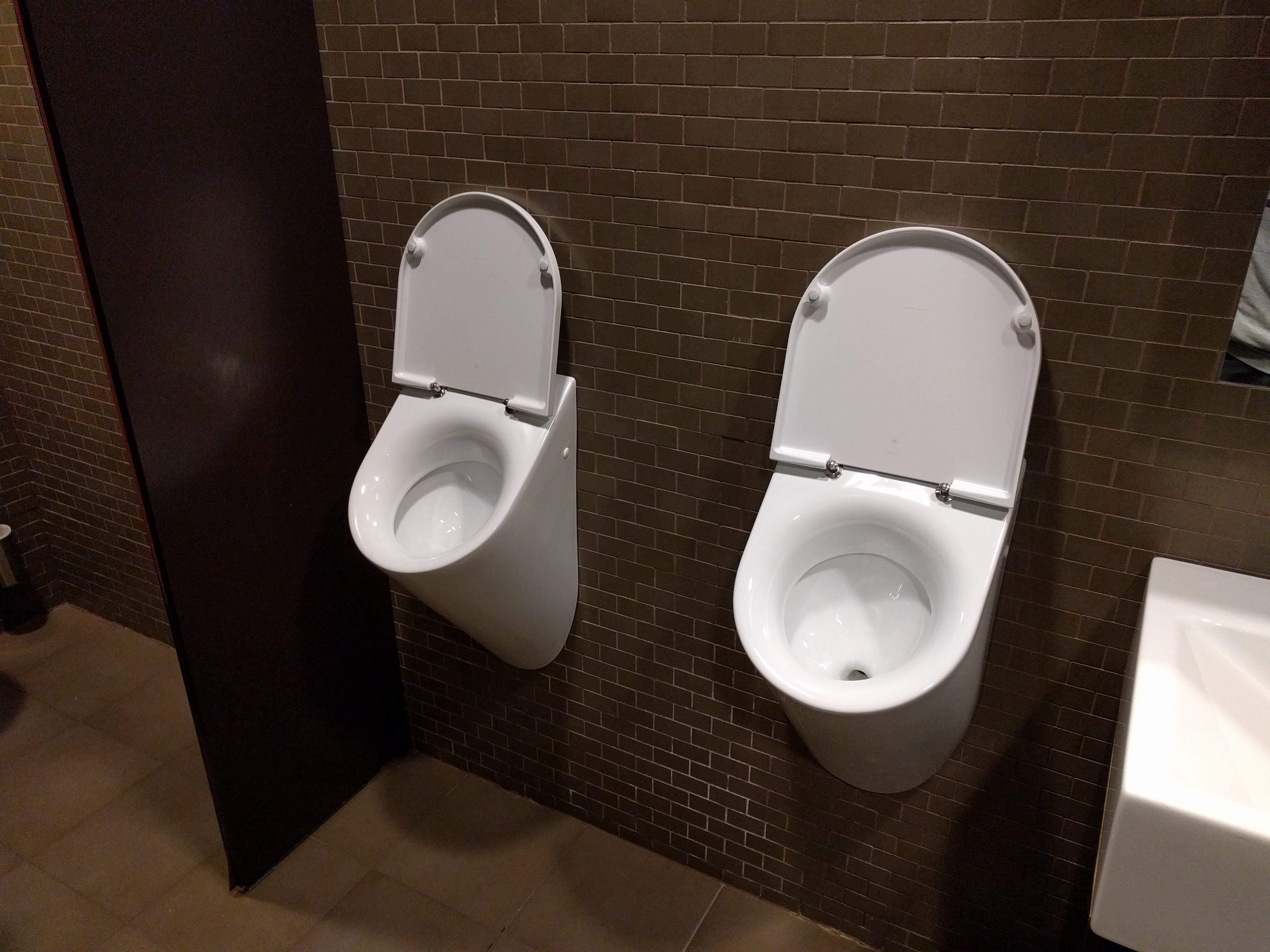 These urinals have toilet lids r/mildlyinteresting