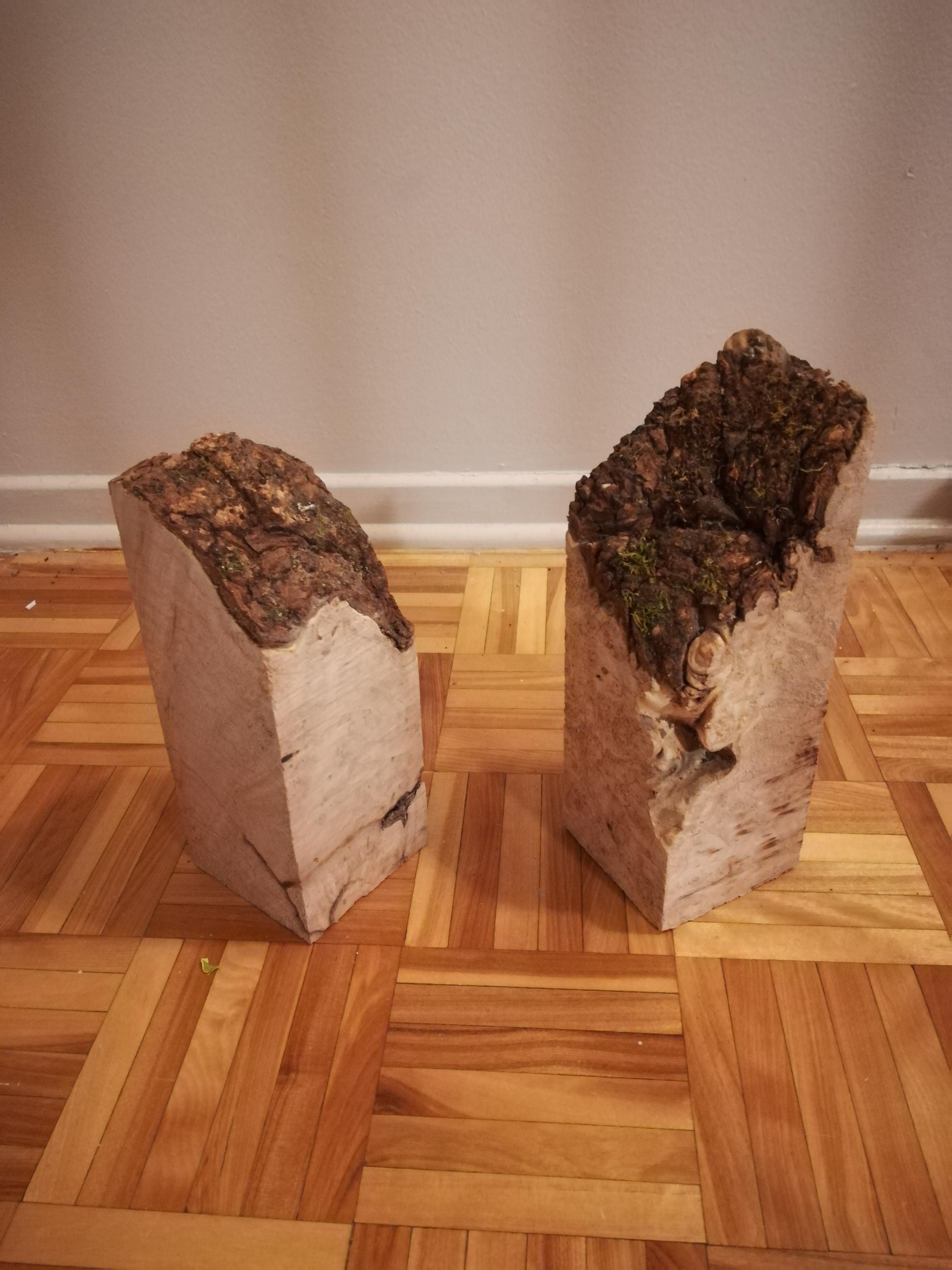 What should I do with these cute maple burl cutoffs? r/woodworking