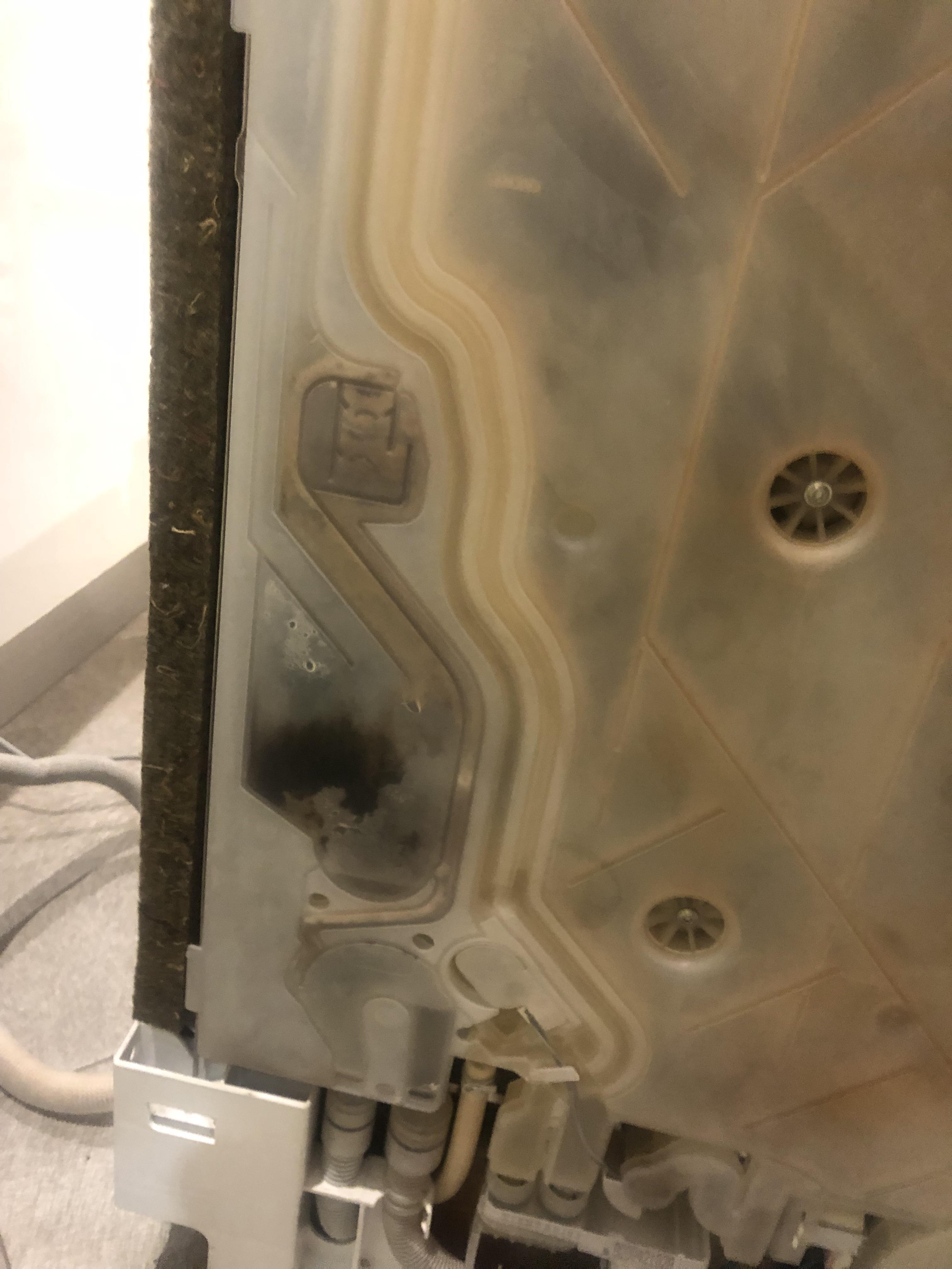 me and my dad opened the side panel on our bosch dishwasher after it