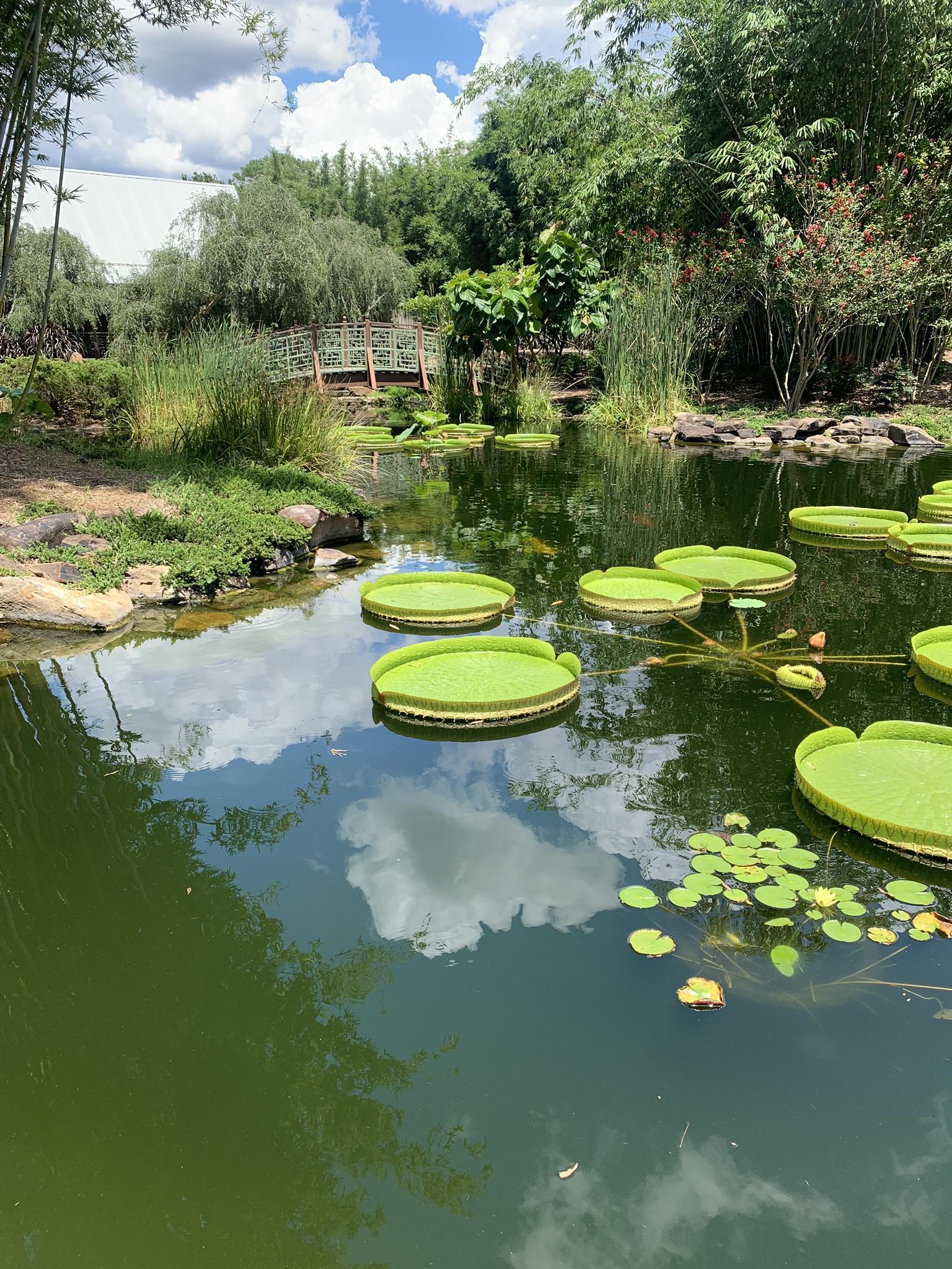 Jacksonville Zoo and Gardens r/FloridaParks