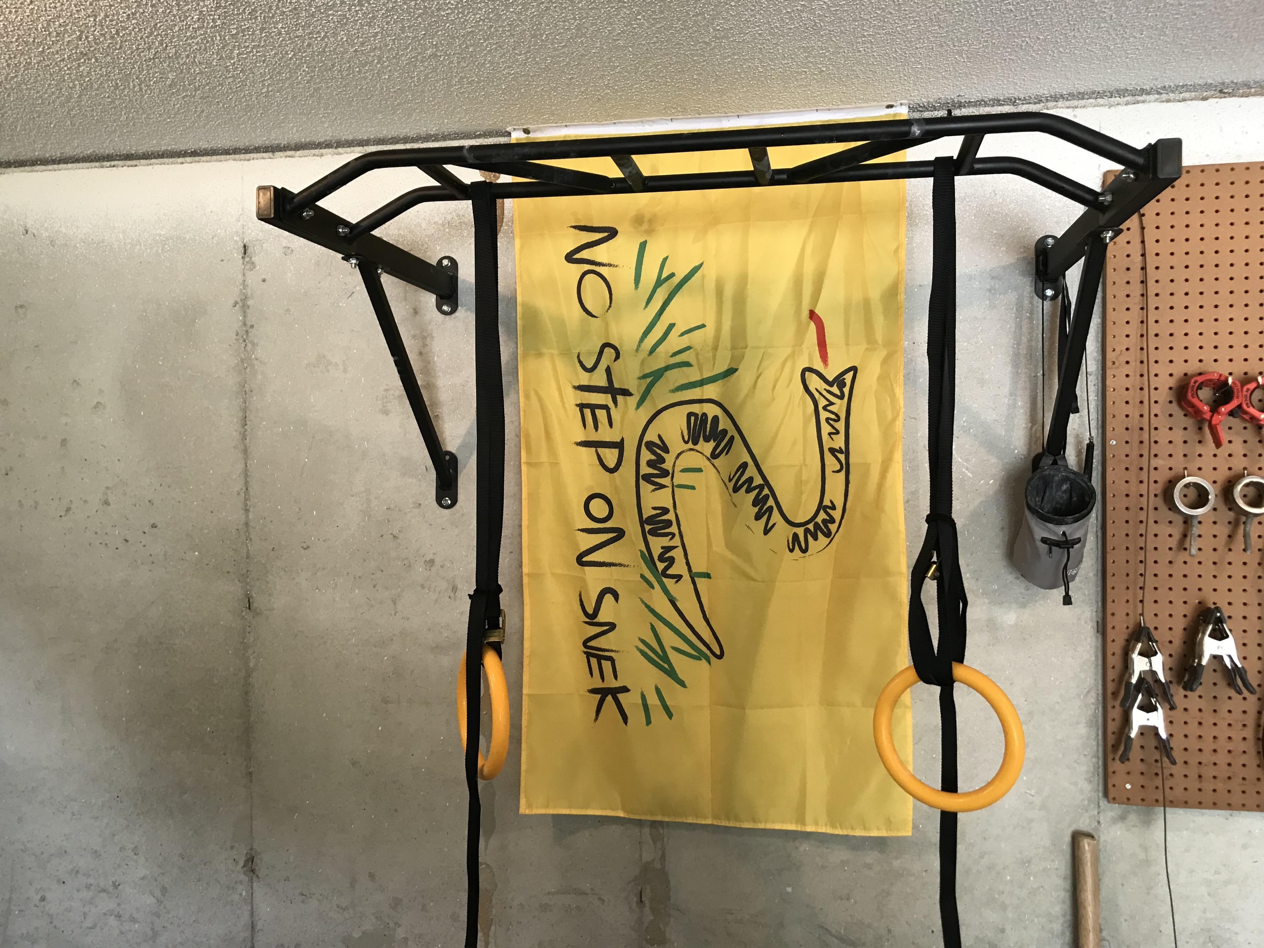 New flag Garage Gym. Do I fit in now? r/homegym