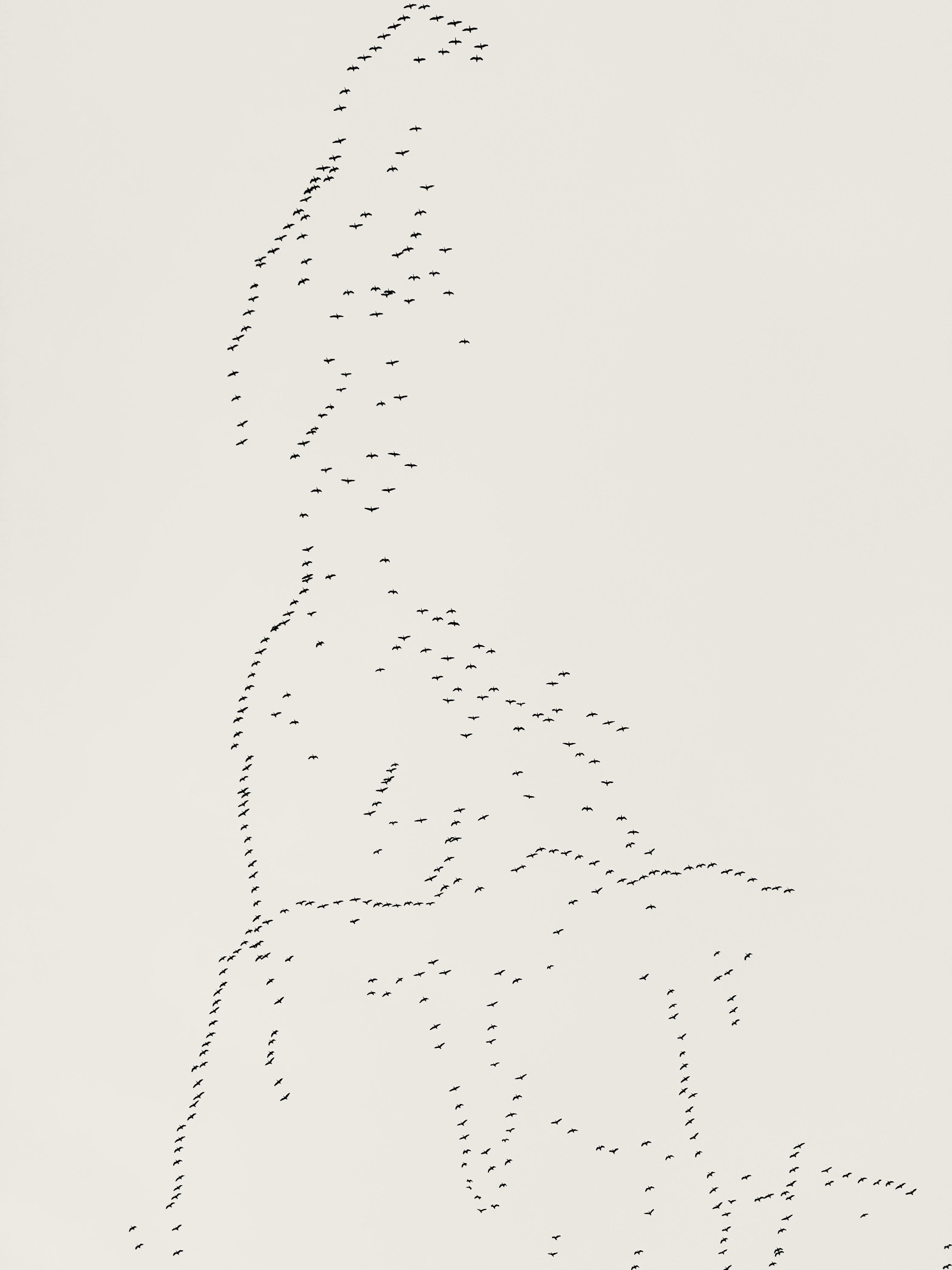 What country is this? r/mapporncirclejerk