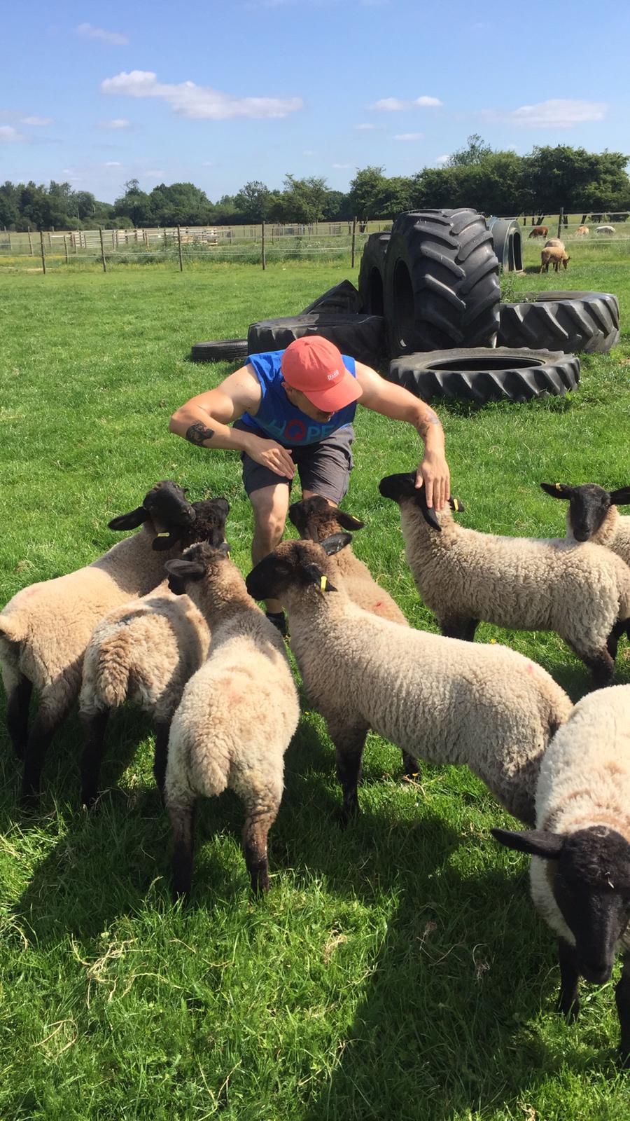 Helping out with the lambs at Hopefield Animal Sanctuary 🐑🌱 r/Animal
