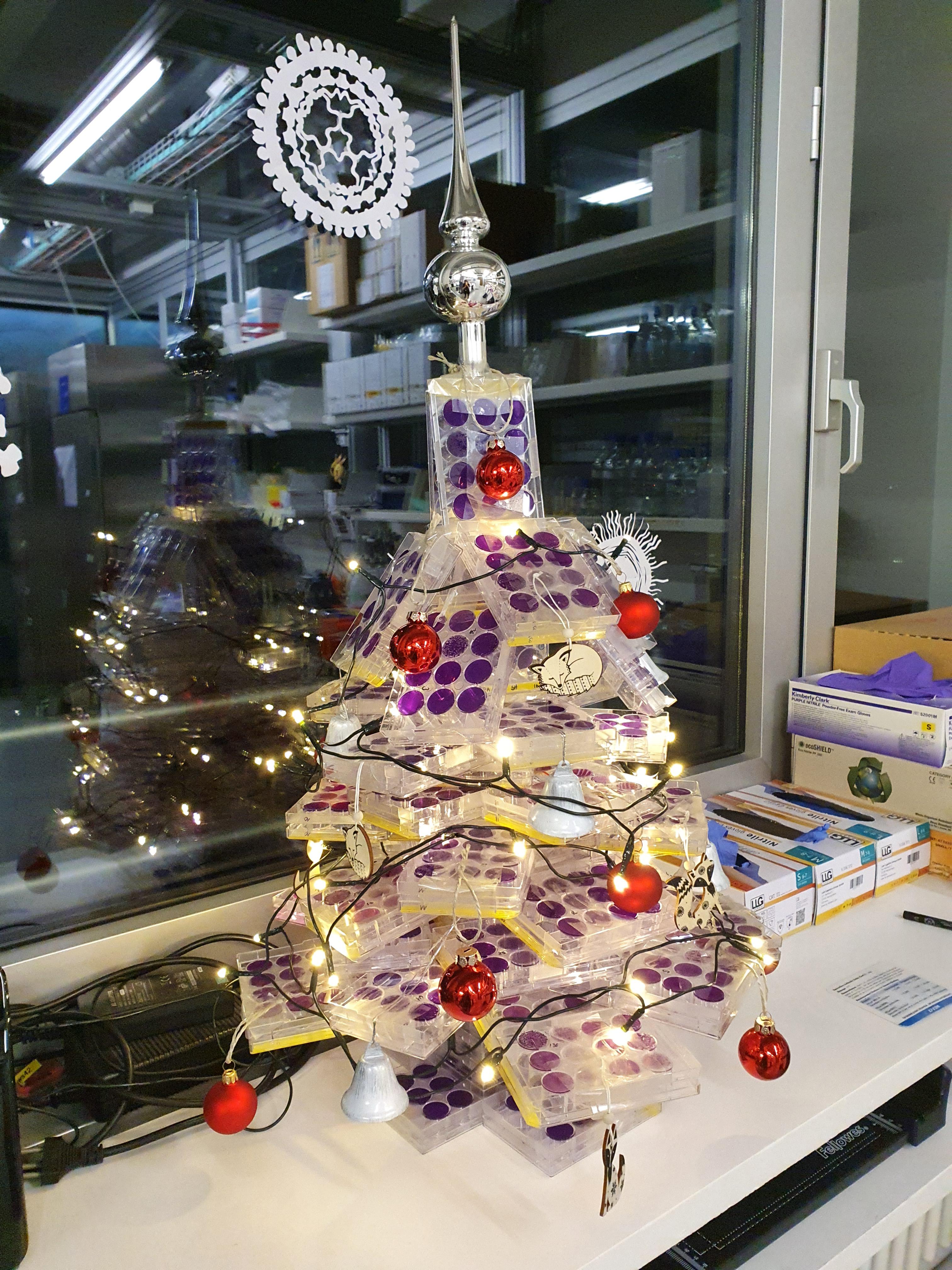 This year, we built a plaque assay tree in the lab. Merry Christmas
