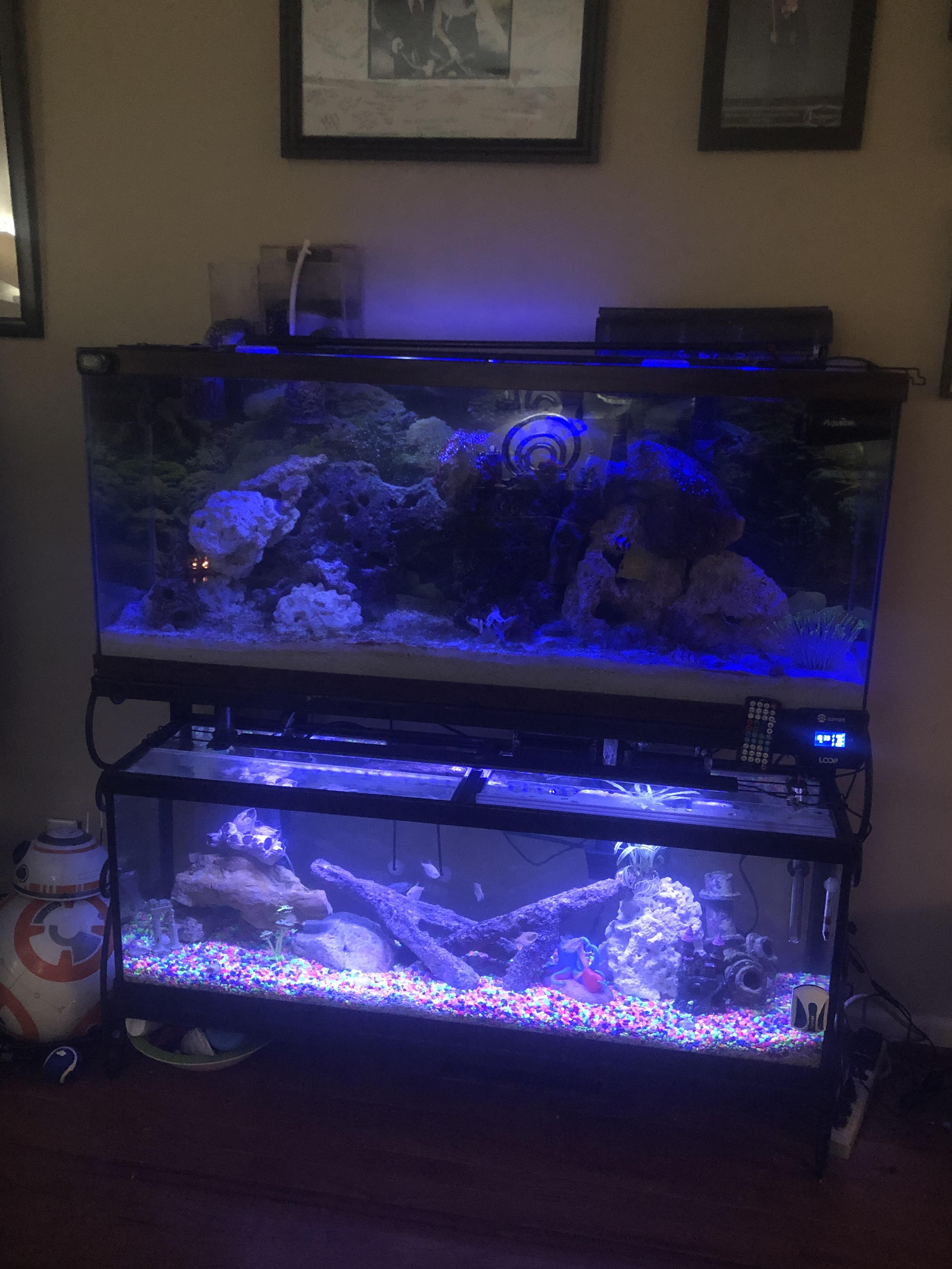 Bucket list from the year I was six and saw my best friend’s Dad’s