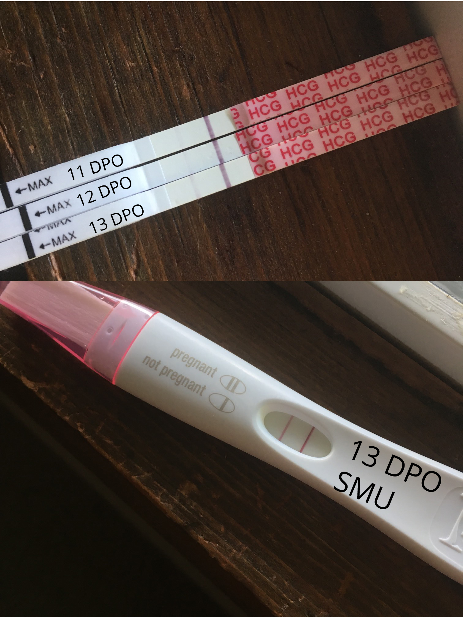 11 Dpo Negative Pregnancy Test Could I Still Be Pregnant pregnancy test