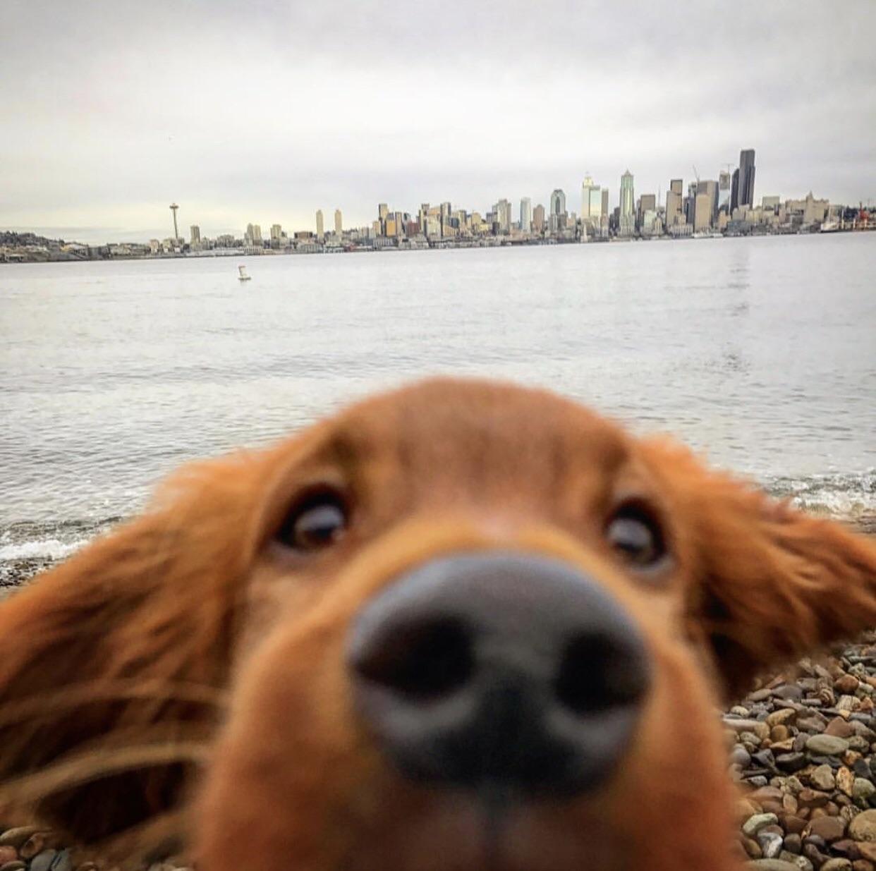 Reddit Dive into anything