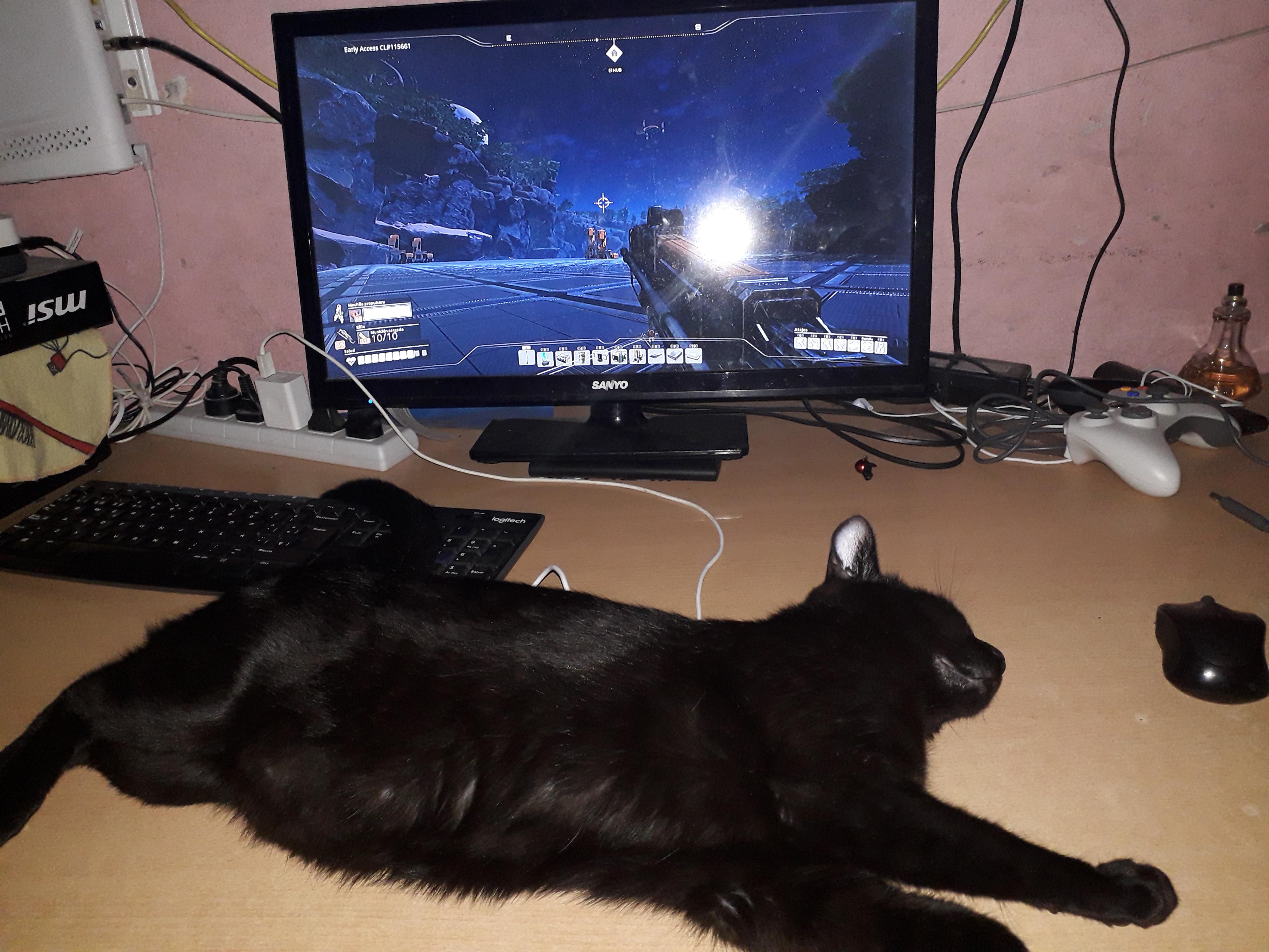 My cat won't let me play xD r/SatisfactoryGame