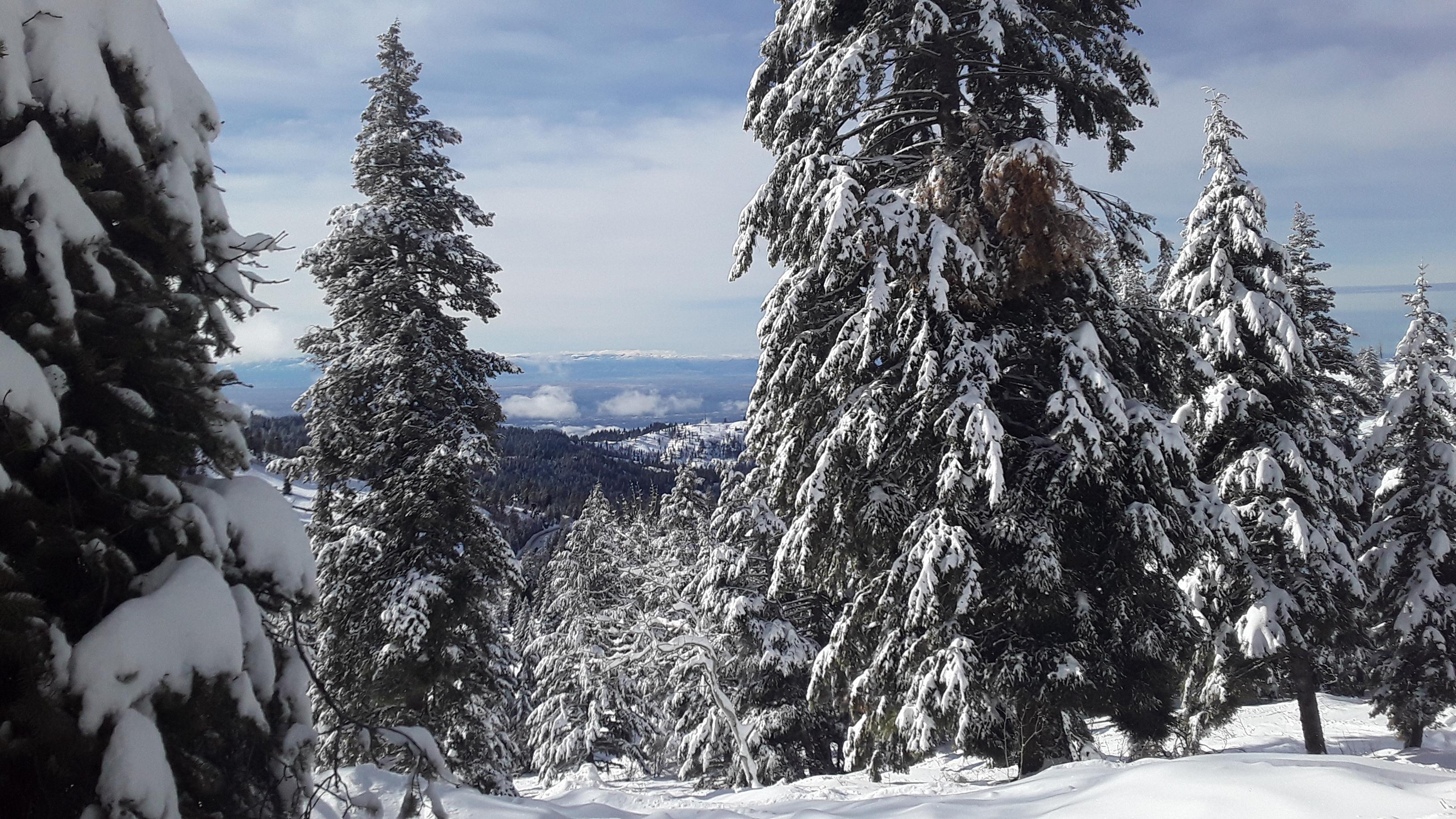 Near Shafer butte r/Idaho
