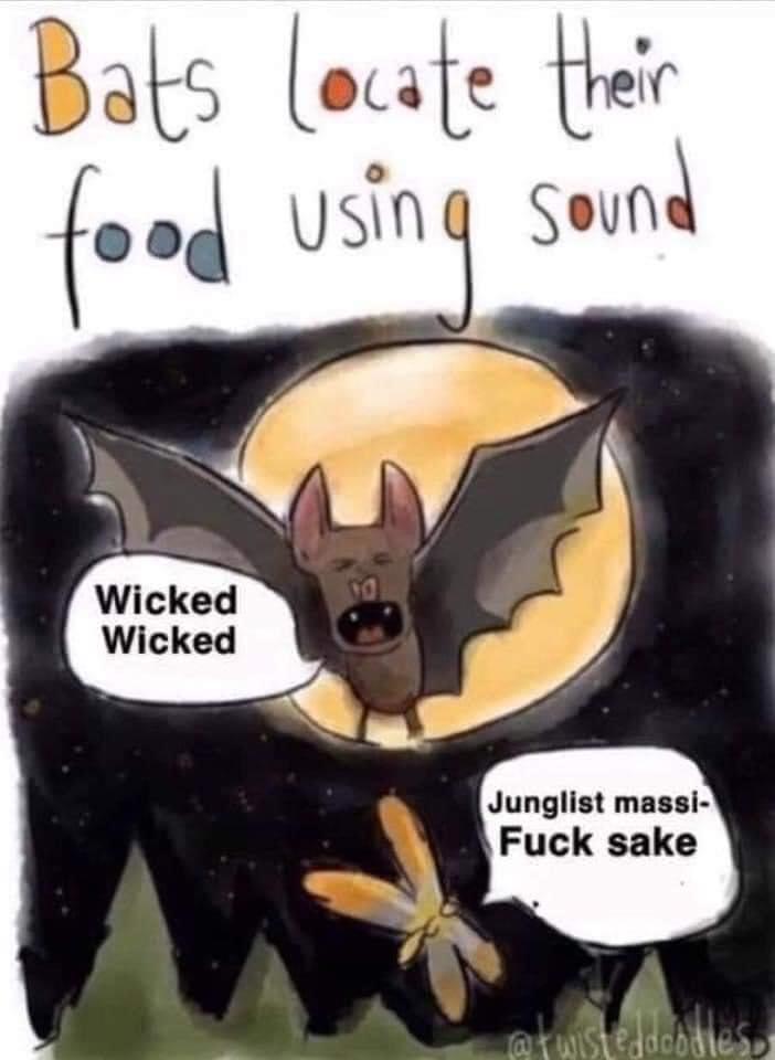 From DnB memes r/DnB