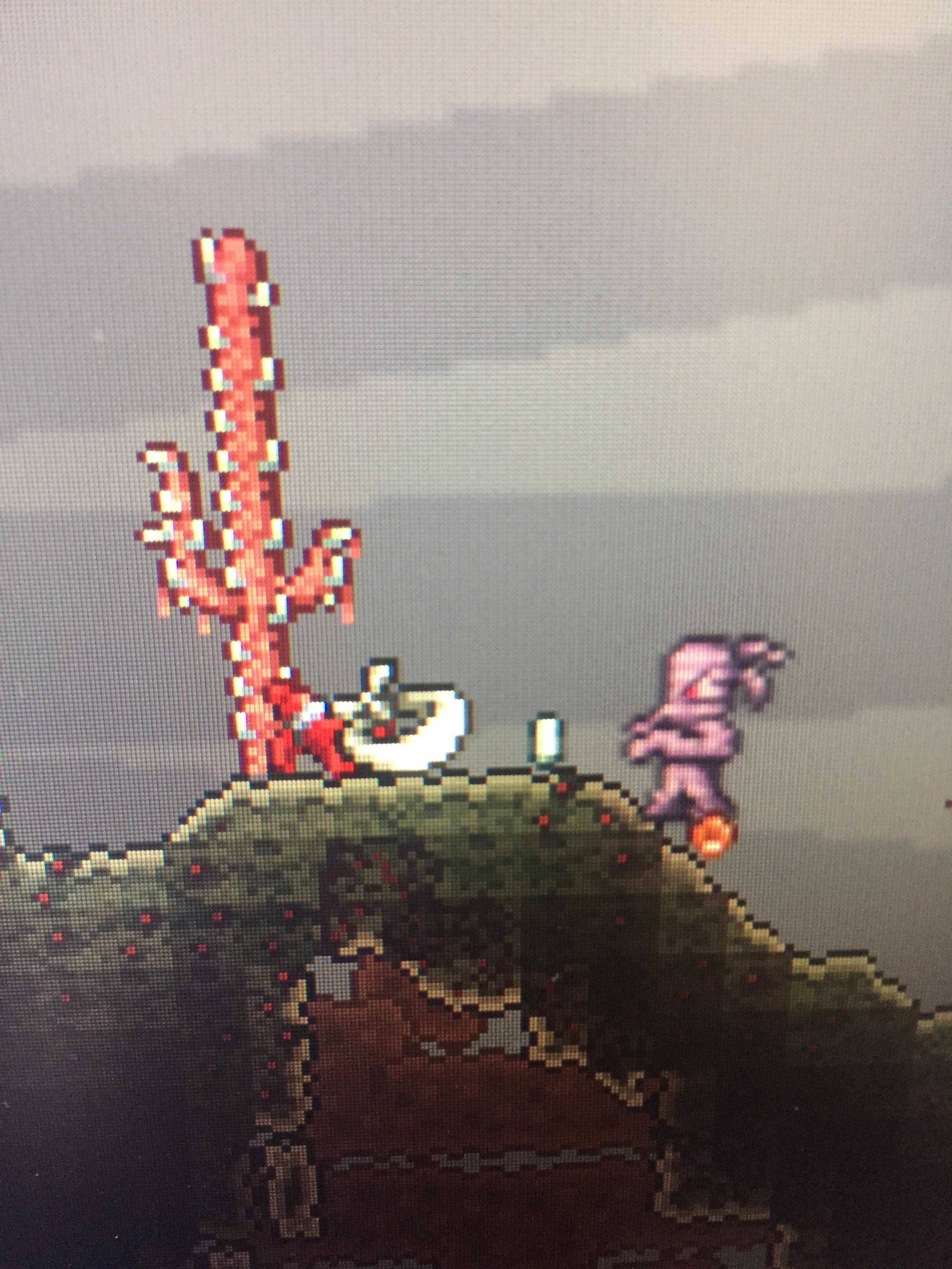 These two spawned from the same mummy r/Terraria