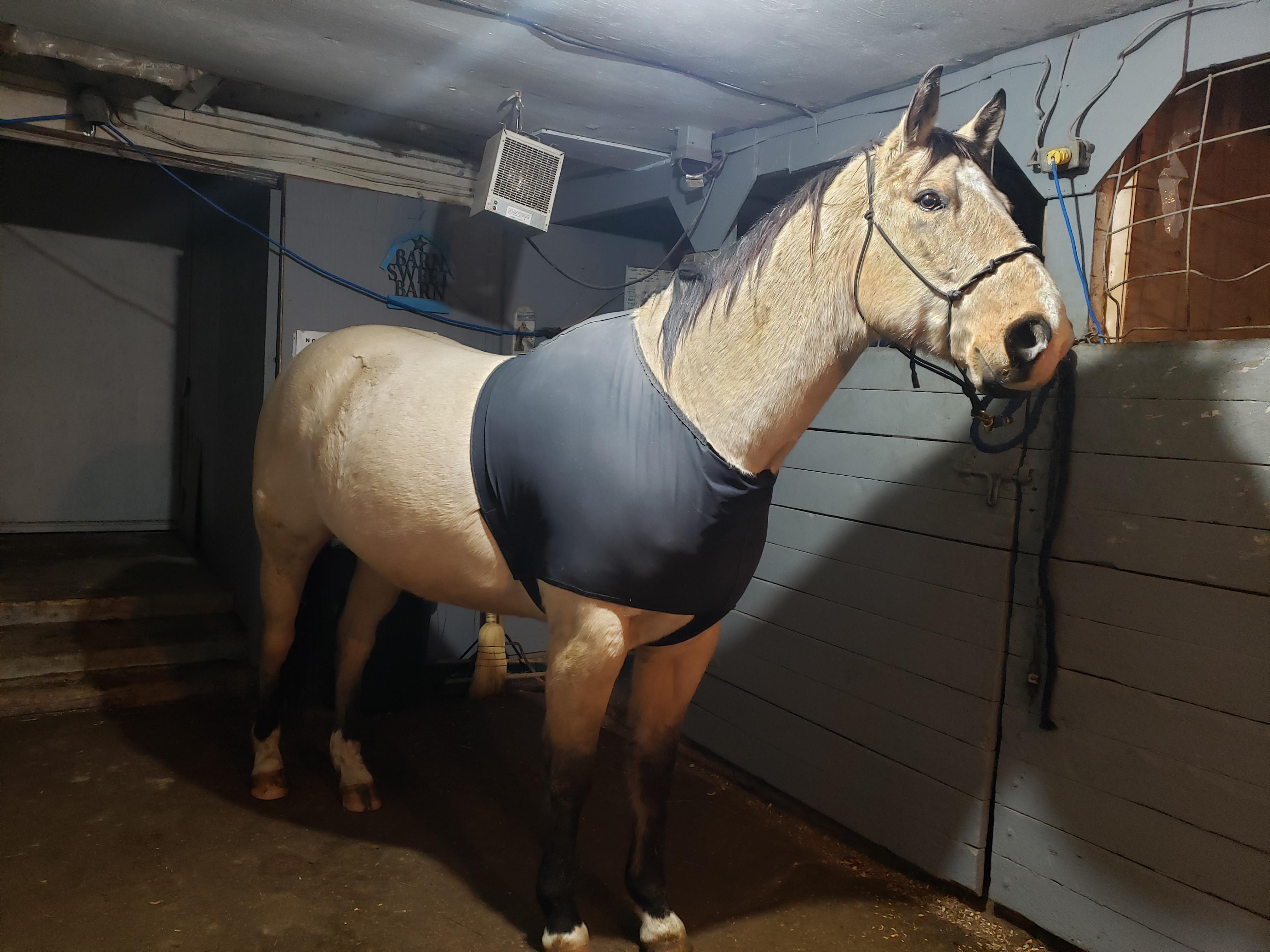 1119 best Sports Bra images on Pholder Non Binary, Bigboobproblems