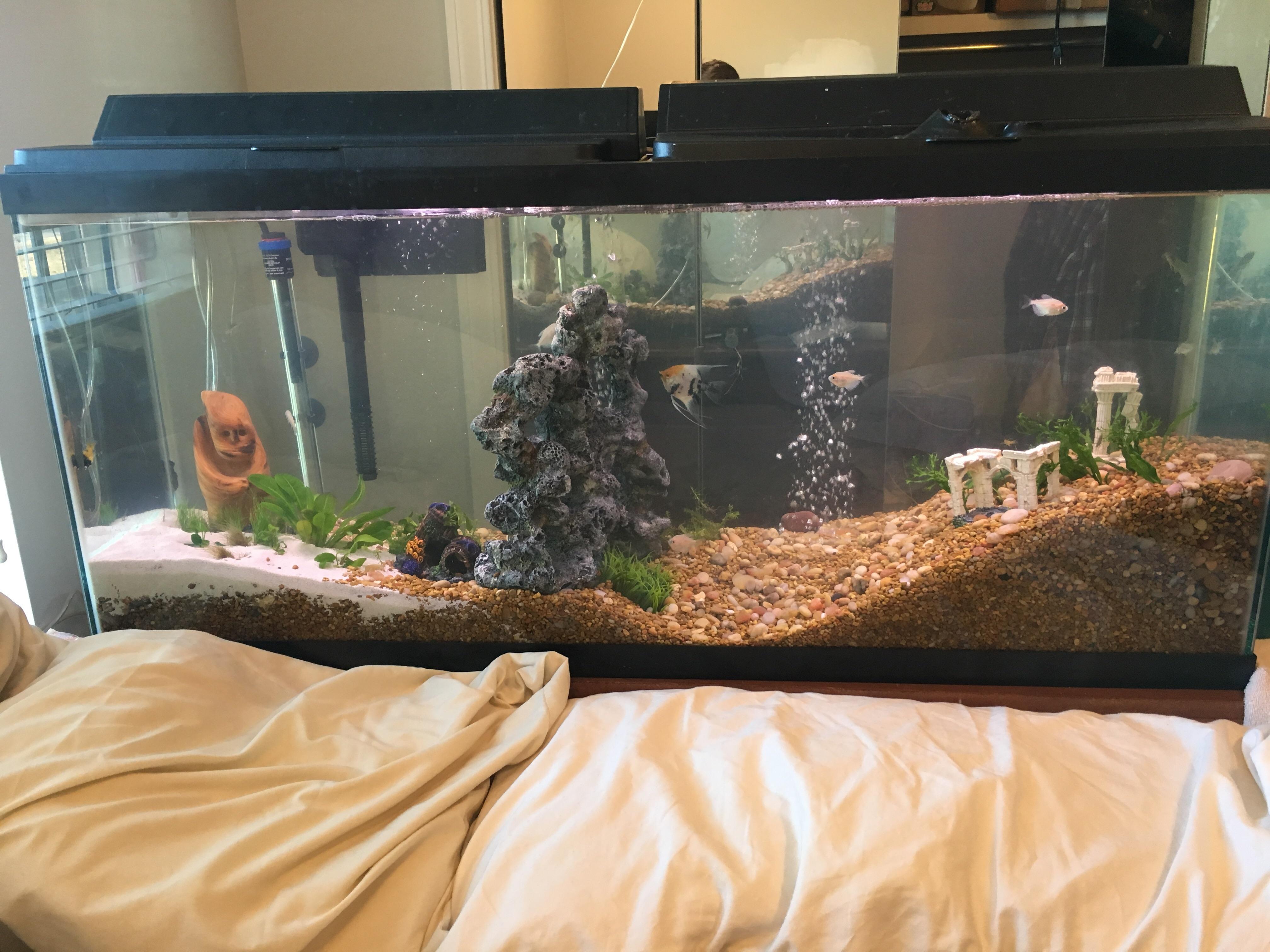 Bed Fish Tanks