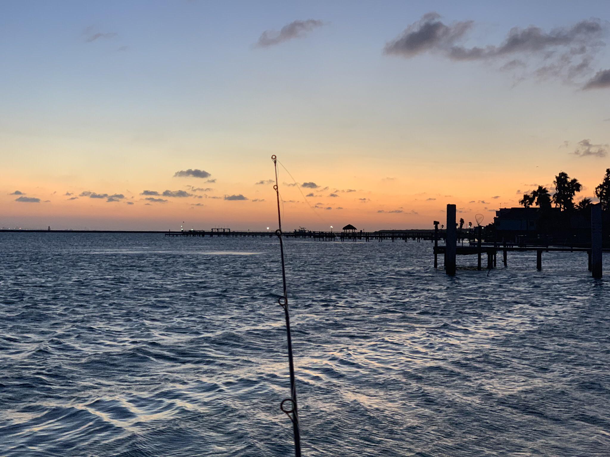 Ingleside on the bay r/TexasViews