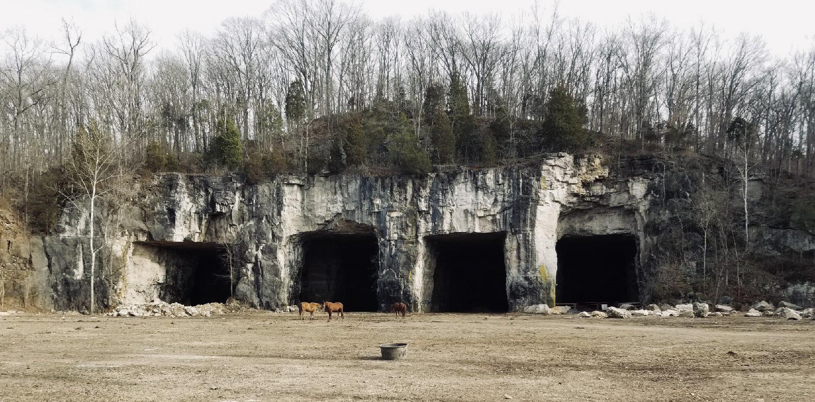 Abandoned Limestone/Dolomite Tunnel Quarry south of Saint Louis r