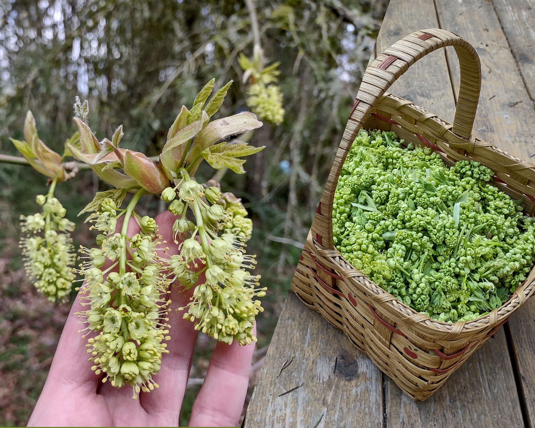 Tell me all your favorite ways to cook, and especially, *preserve