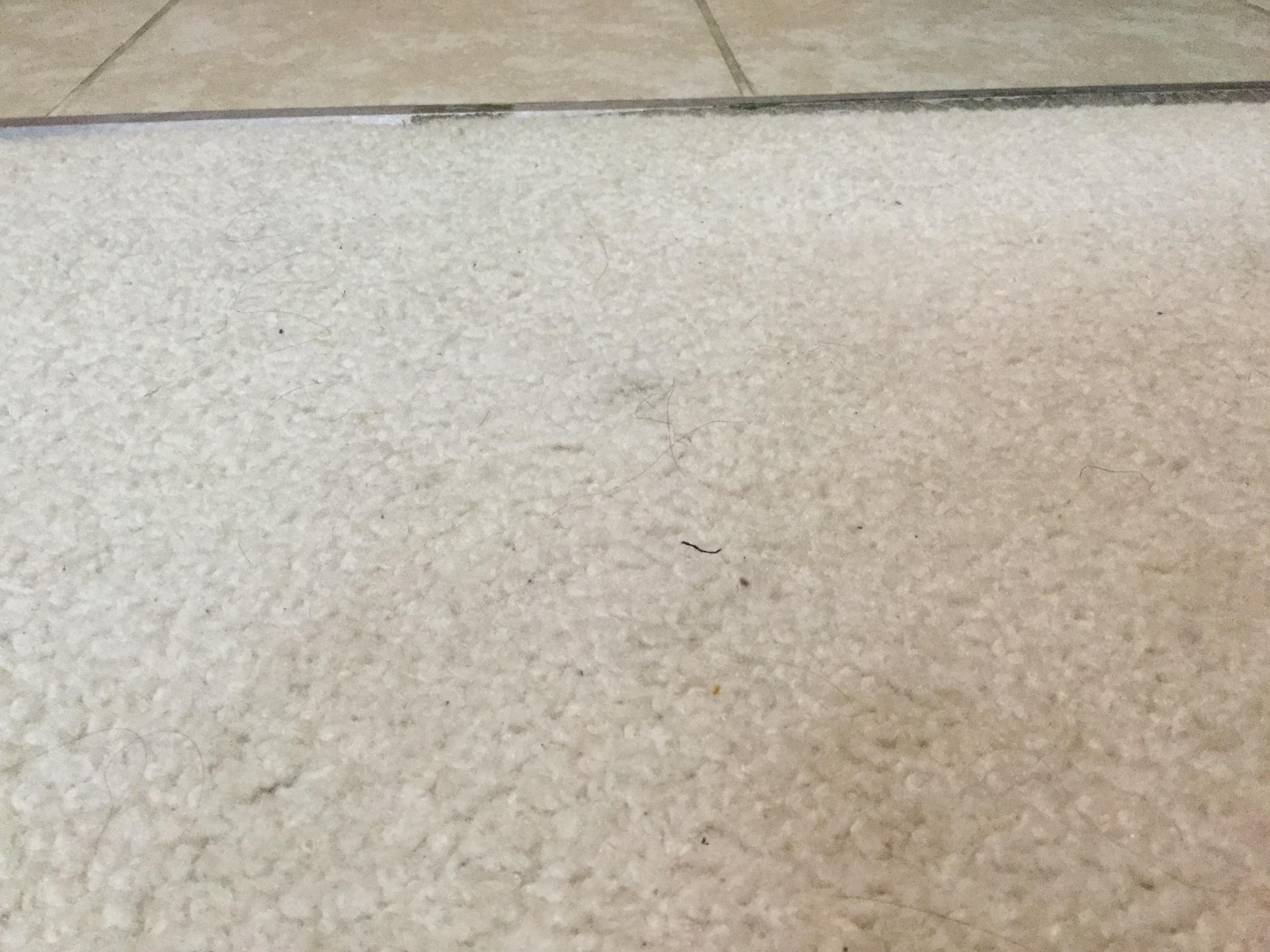 Roomba Won’t Clean Carpet r/roomba