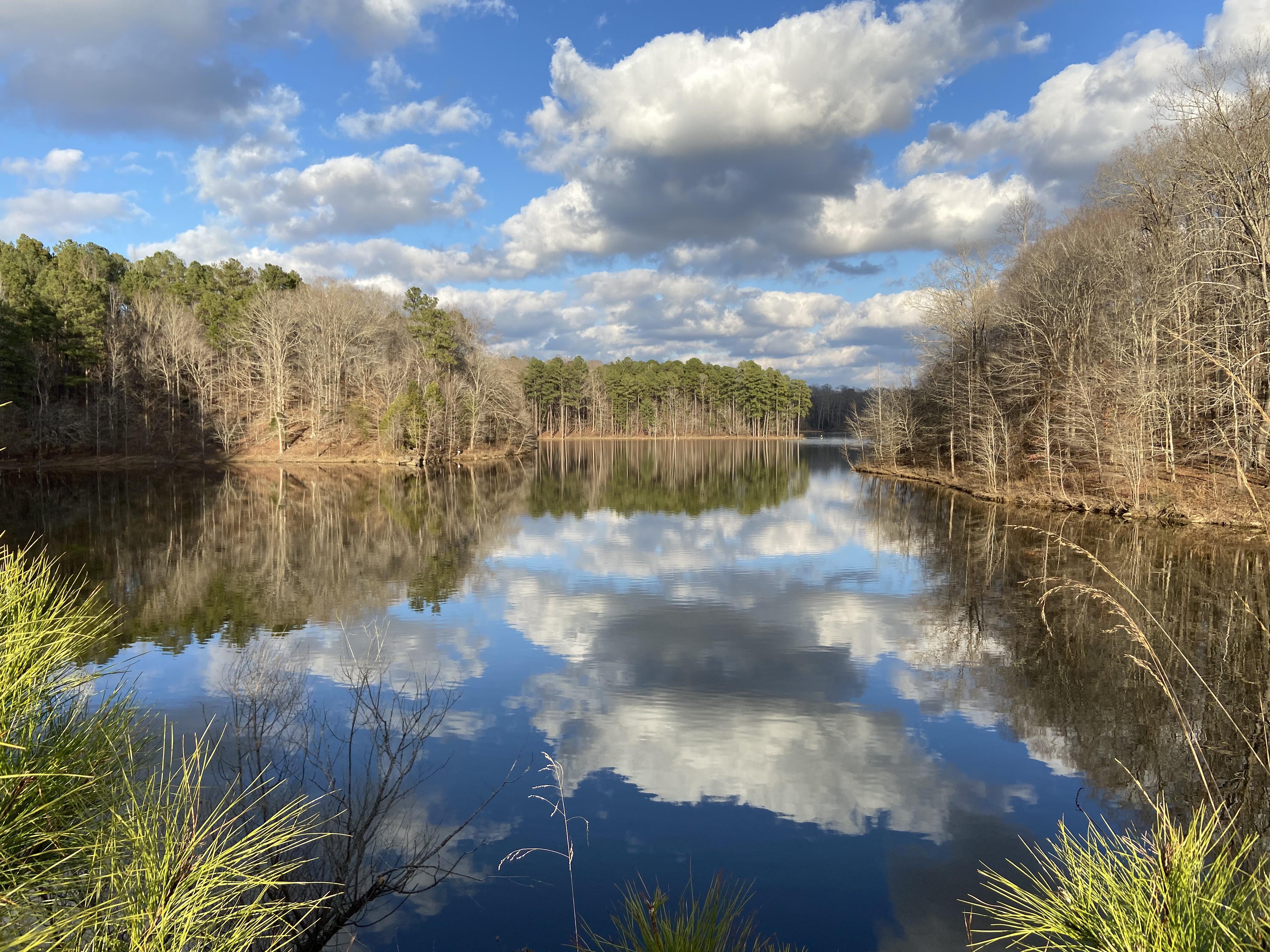 Falls Lake Trail, Raleigh NC r/NorthCarolina