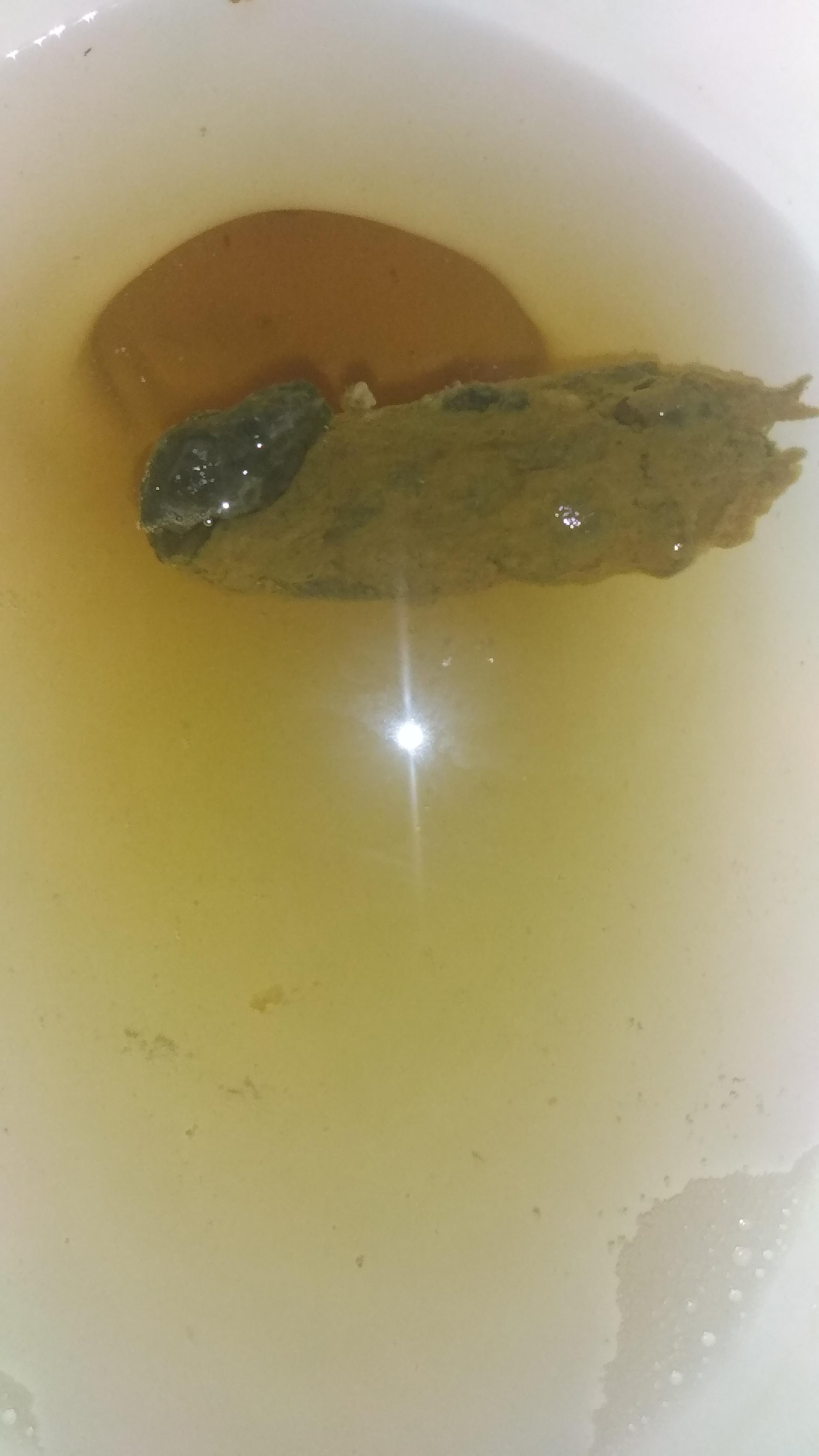 Any idea of what is this?, it looked like a greenishblue spot, and idk if is just the