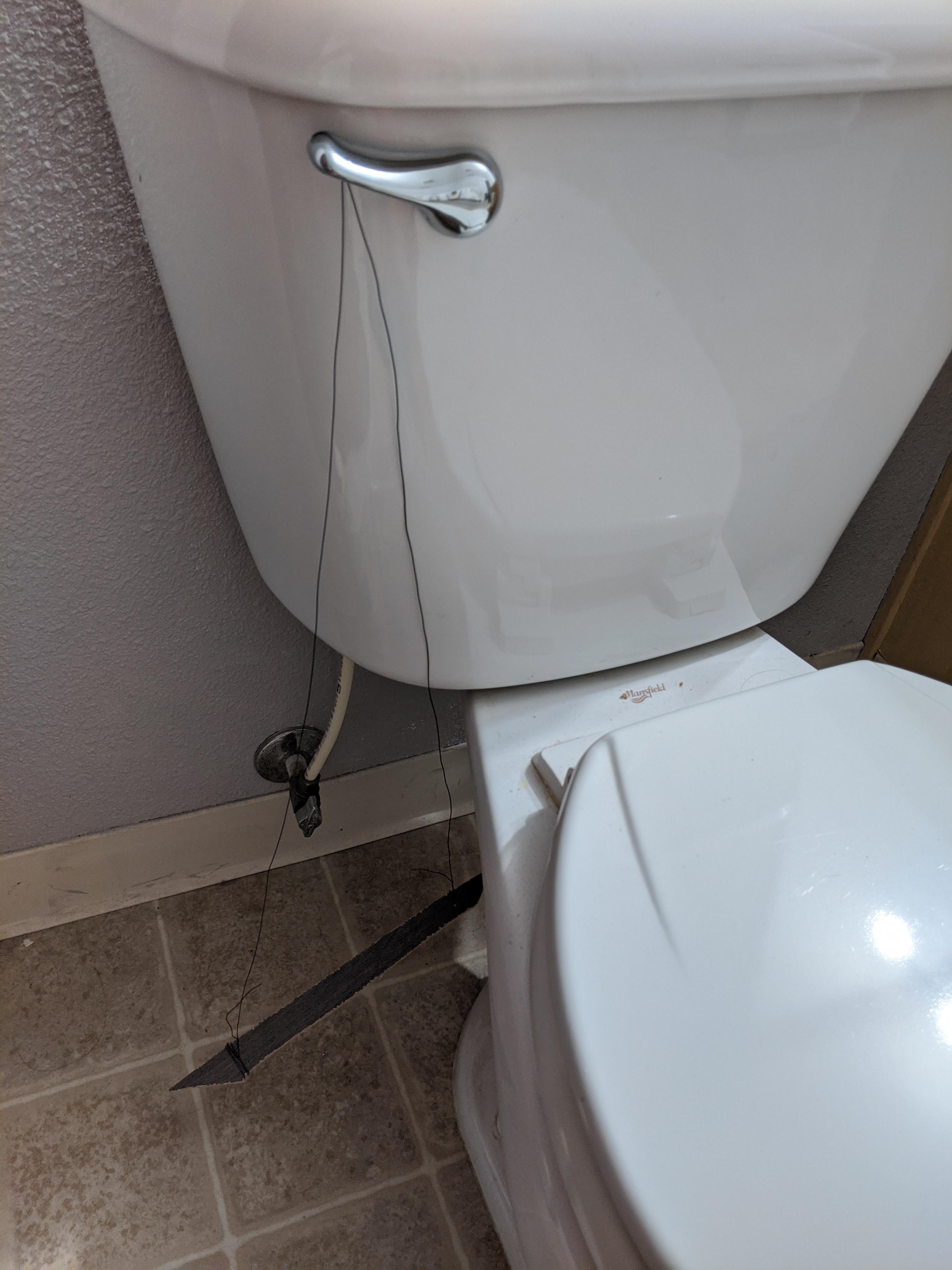 Foot activated toilet flusher. Works like a champ. Used simple wire