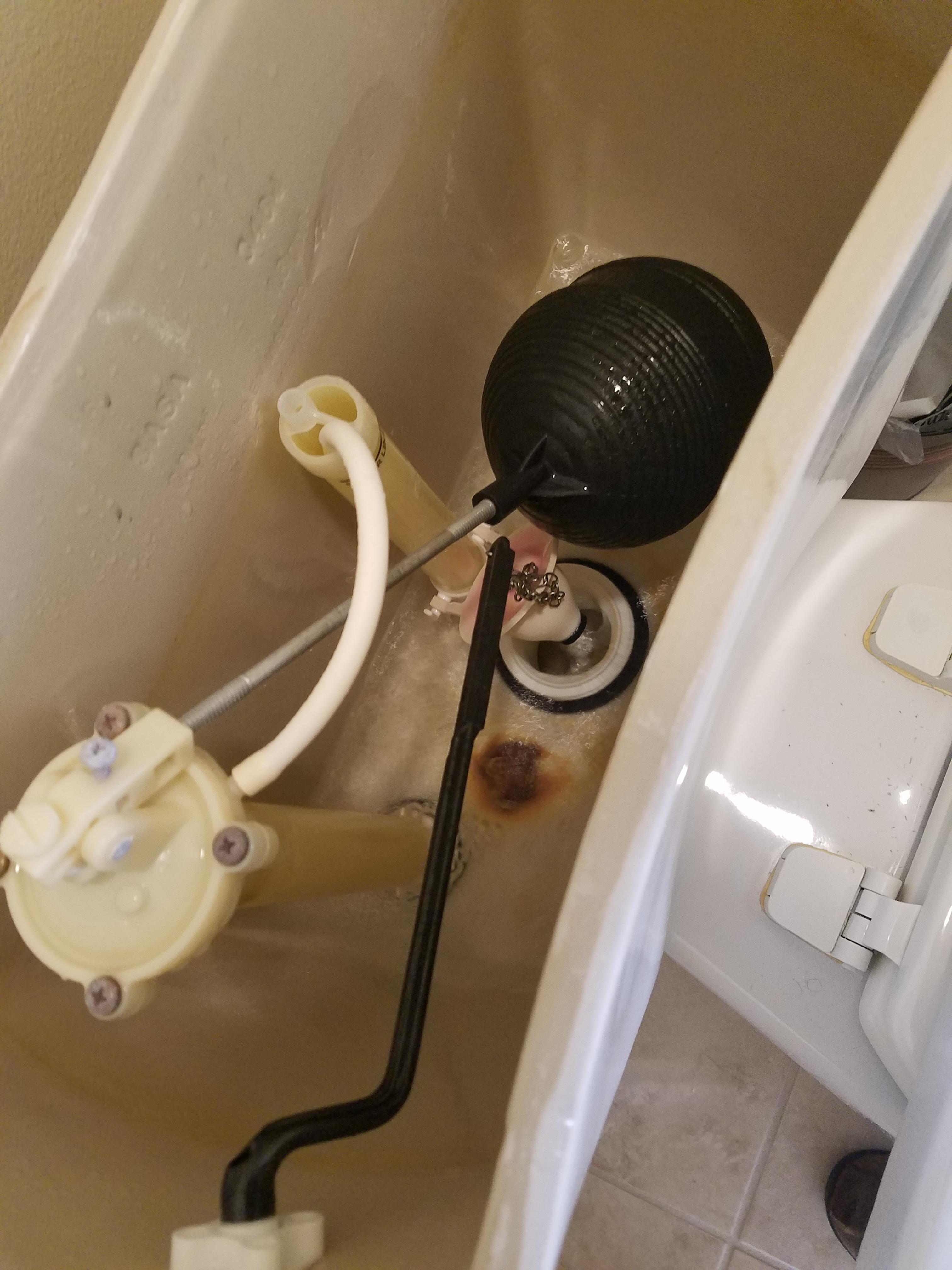 My Flapper won't close on its own anymore. Thoughts? (Simple homeowner