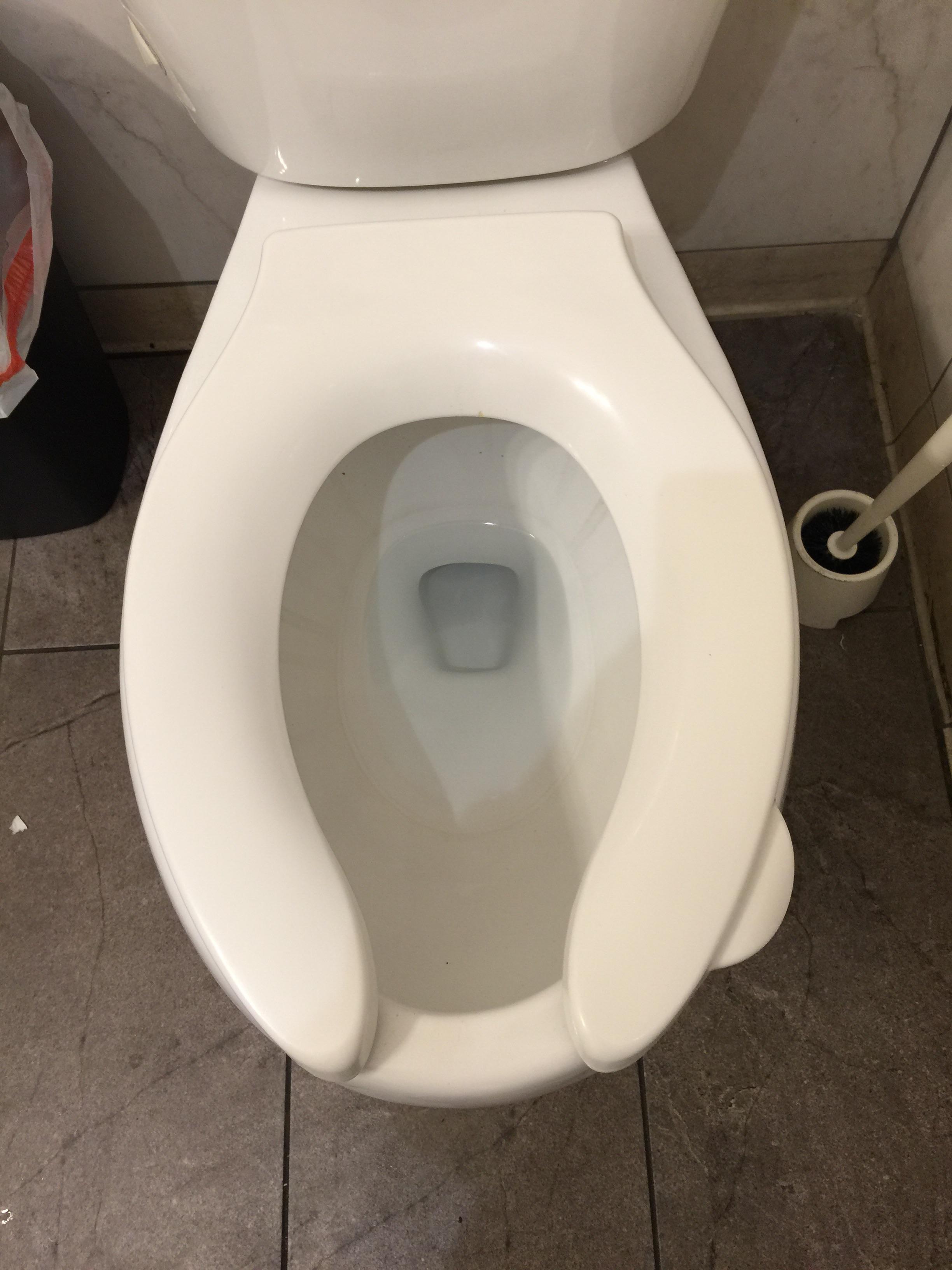 Toilet has a little side piece so you can lift the lid without touching