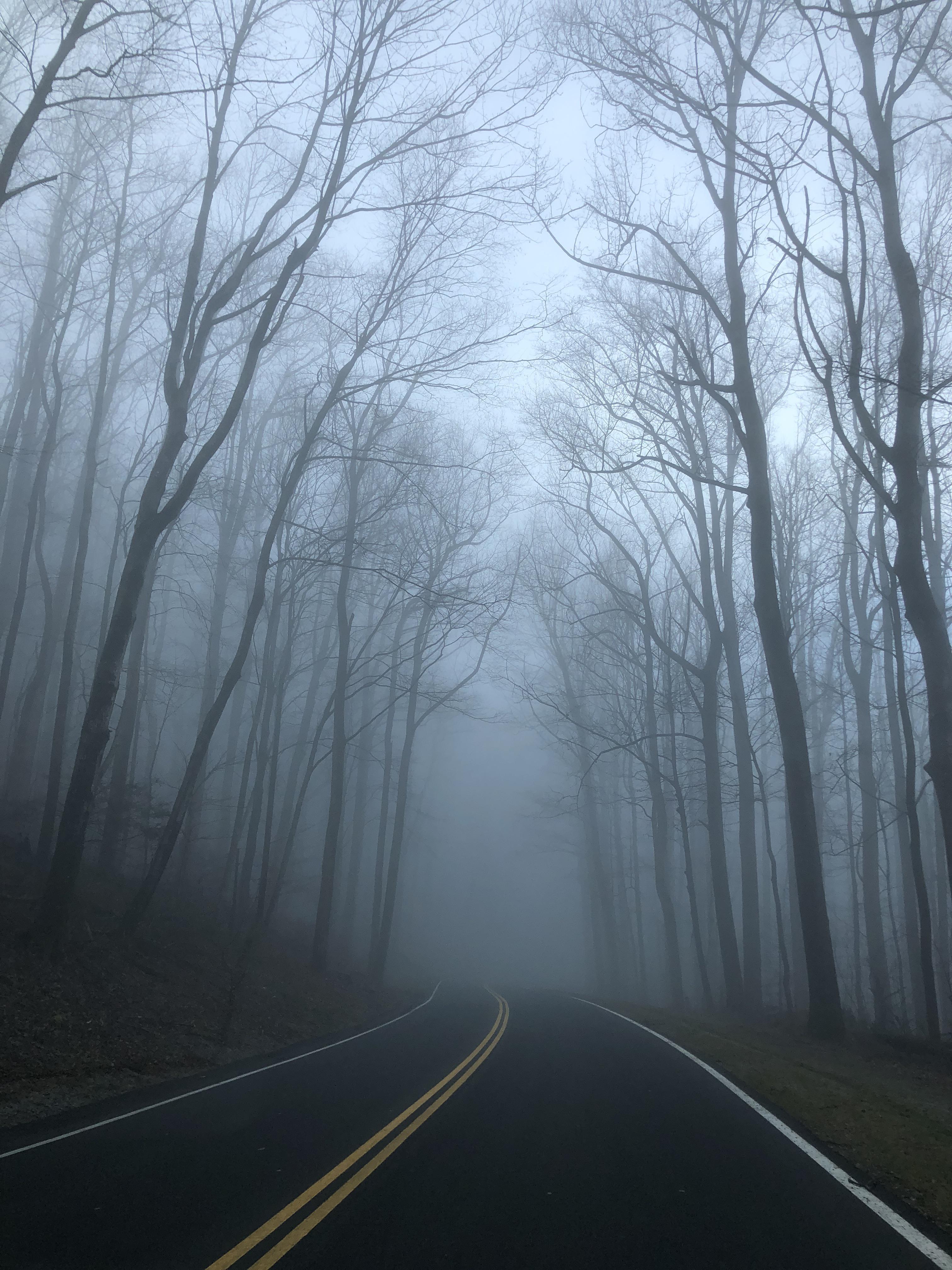 Extra smoky mountain road r/Tennessee