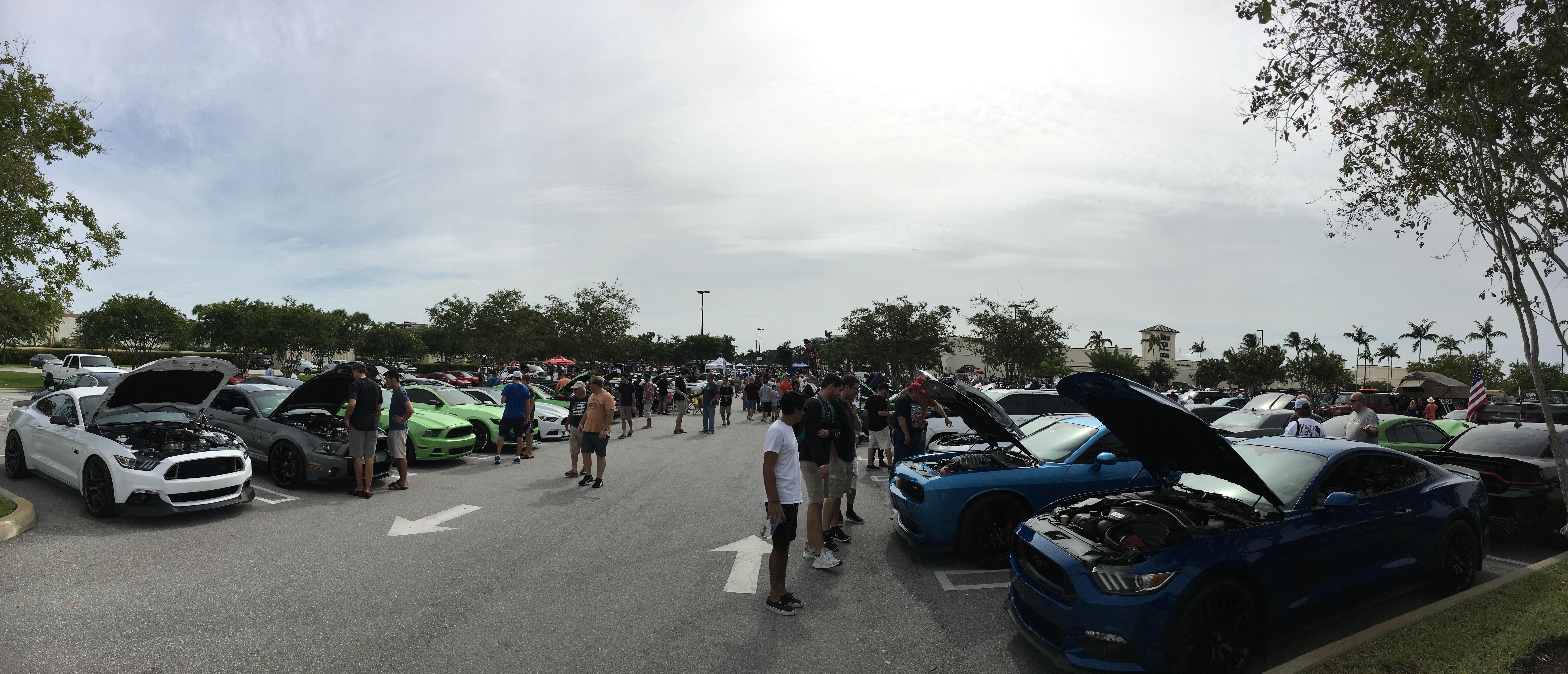 Big Blue's first cars and coffee in West Palm Beach Florida. r/Mustang