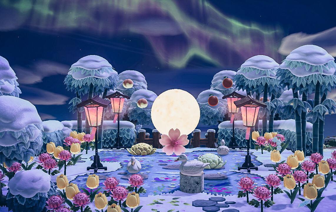 I signed on to this wonderful surprise tonight! Beautiful Aurora