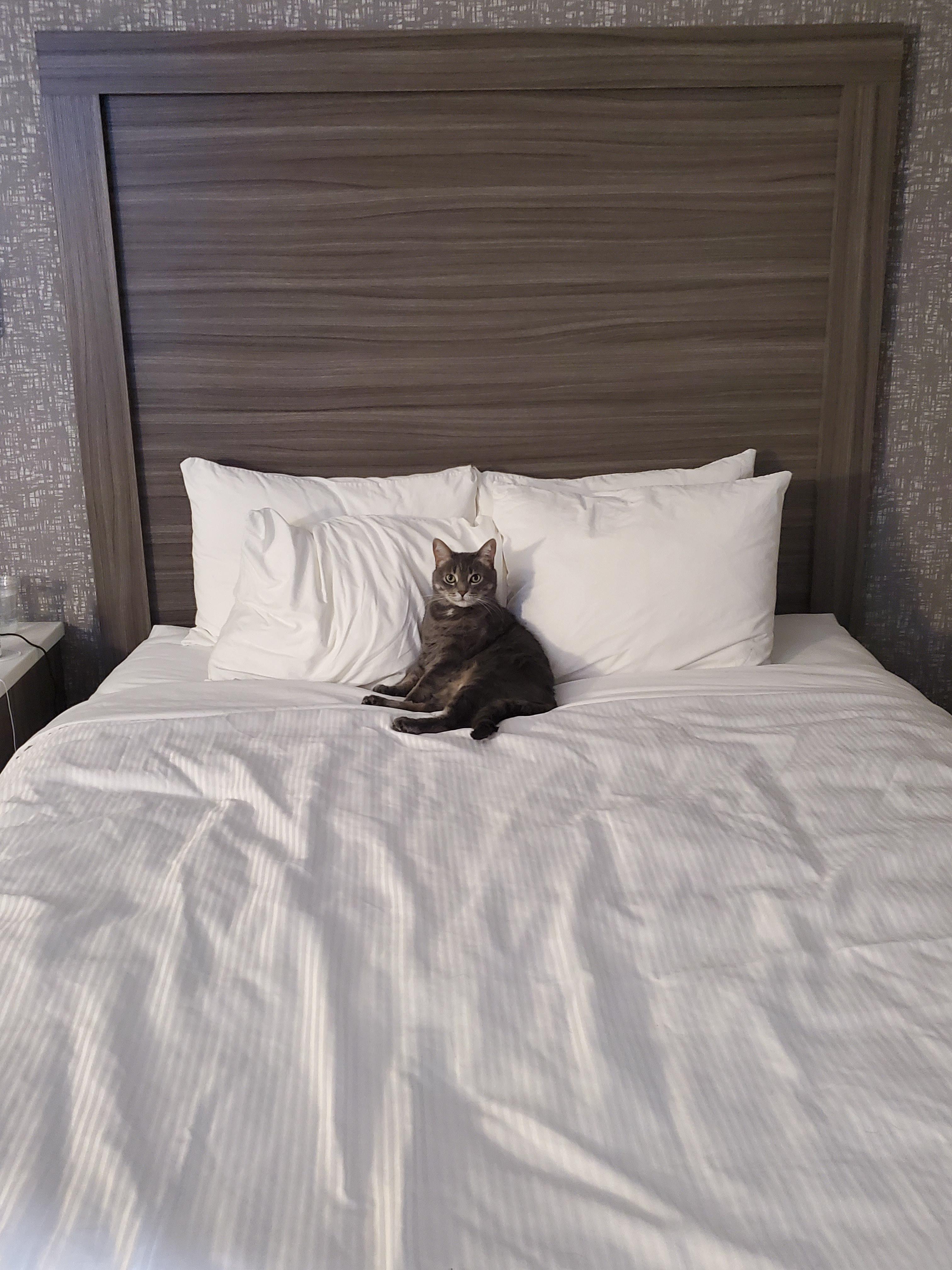 It's a good thing we got a hotel room with two beds! Ginny rates as 10/