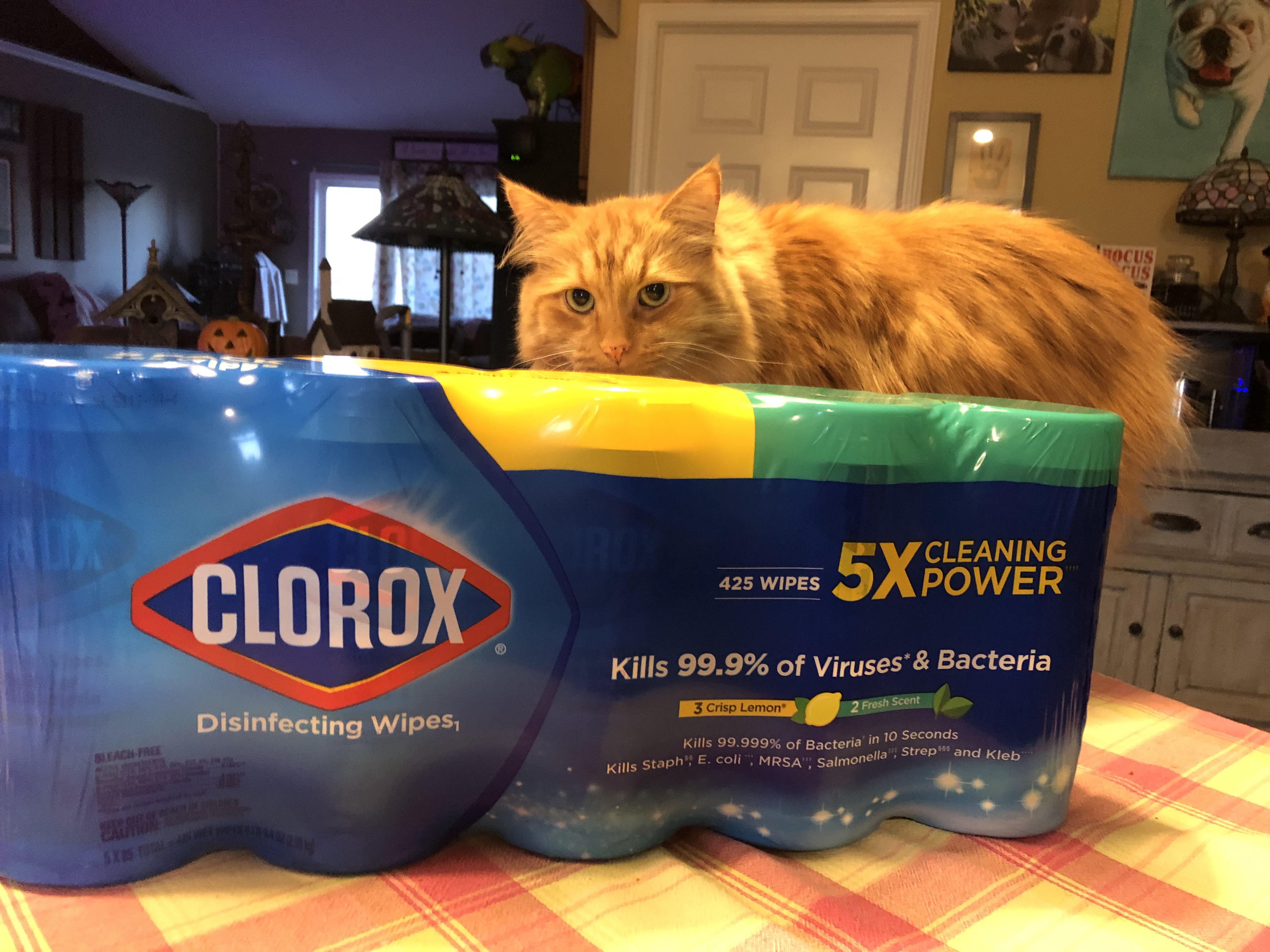 Got lucky at the Costco yesterday. Clorox wipes!! r/Costco