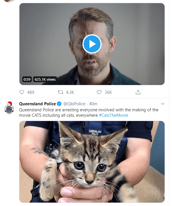 Ryan Reynolds has a Cat r/juxtaposition