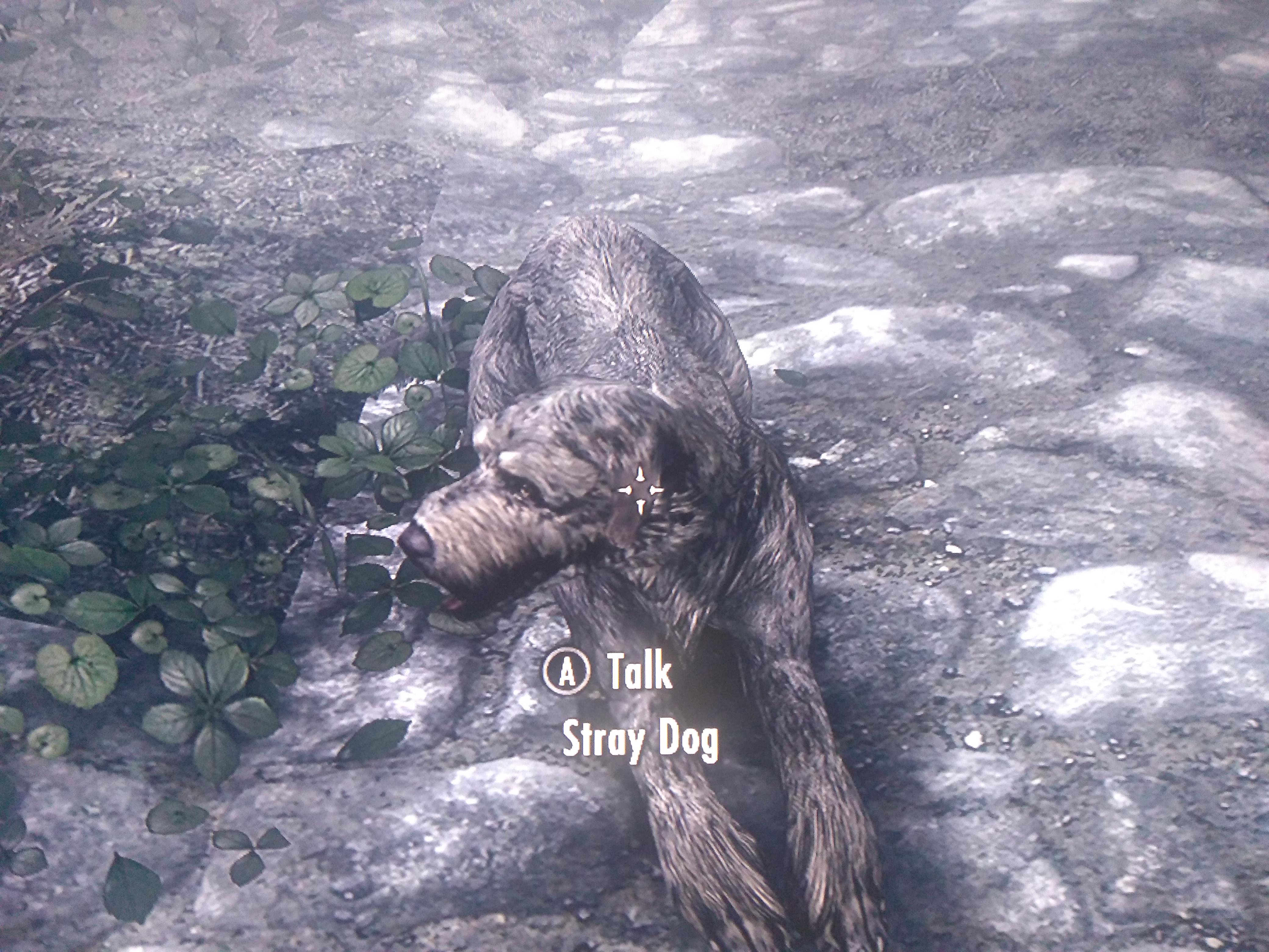 I'm playing in survival mode, so I have to walk, and while walking