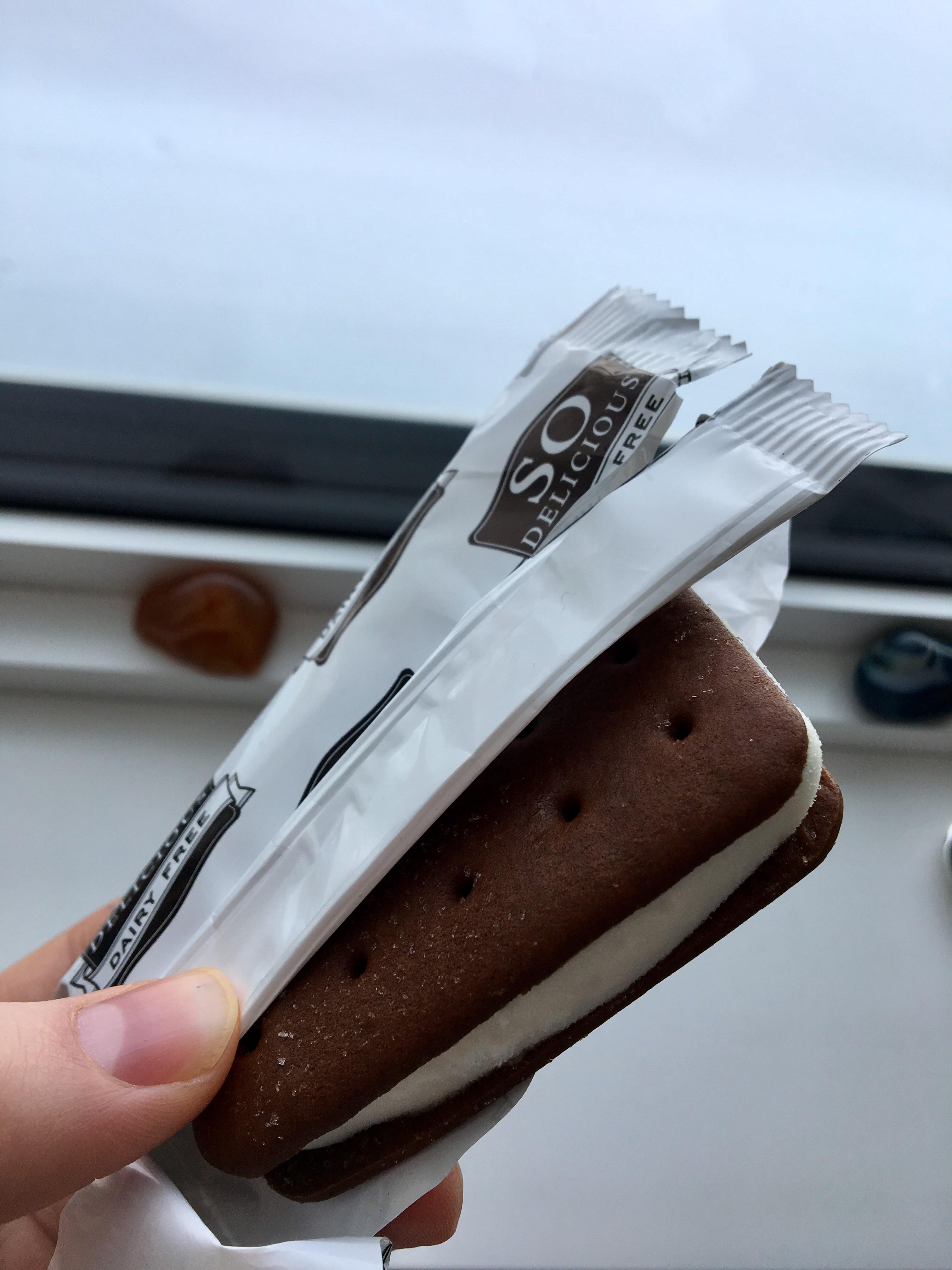 These 90 cal ice cream bars are magical r/1200isplenty