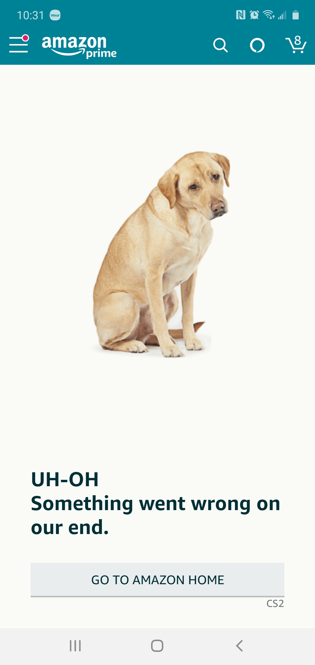 This good doggo guards Amazon's error page r/dogswithjobs