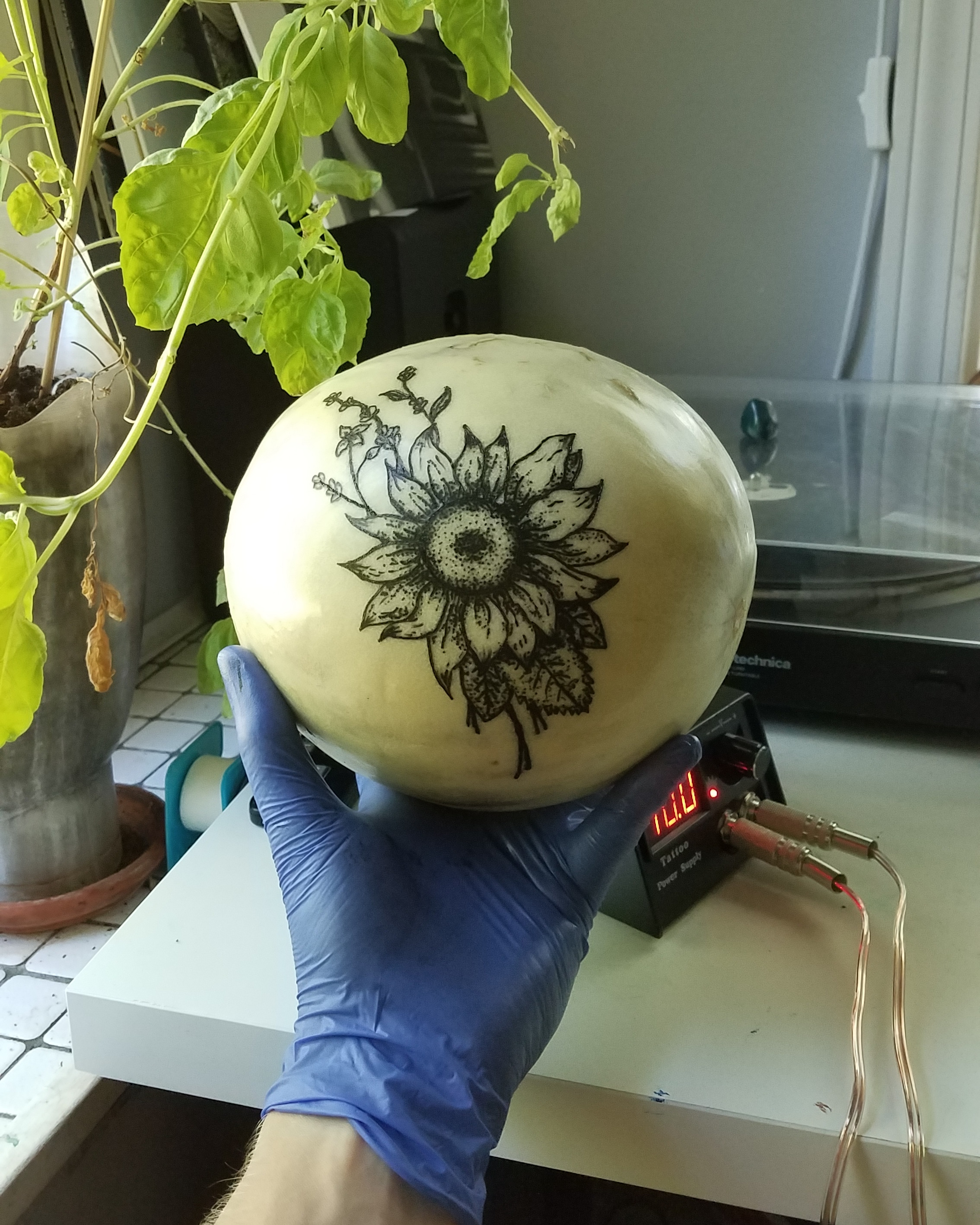 Just began tattooing less than a month ago and have only worked on some