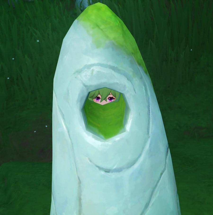 Collei of the rock, what is your wisdom? r/Genshin_Memepact