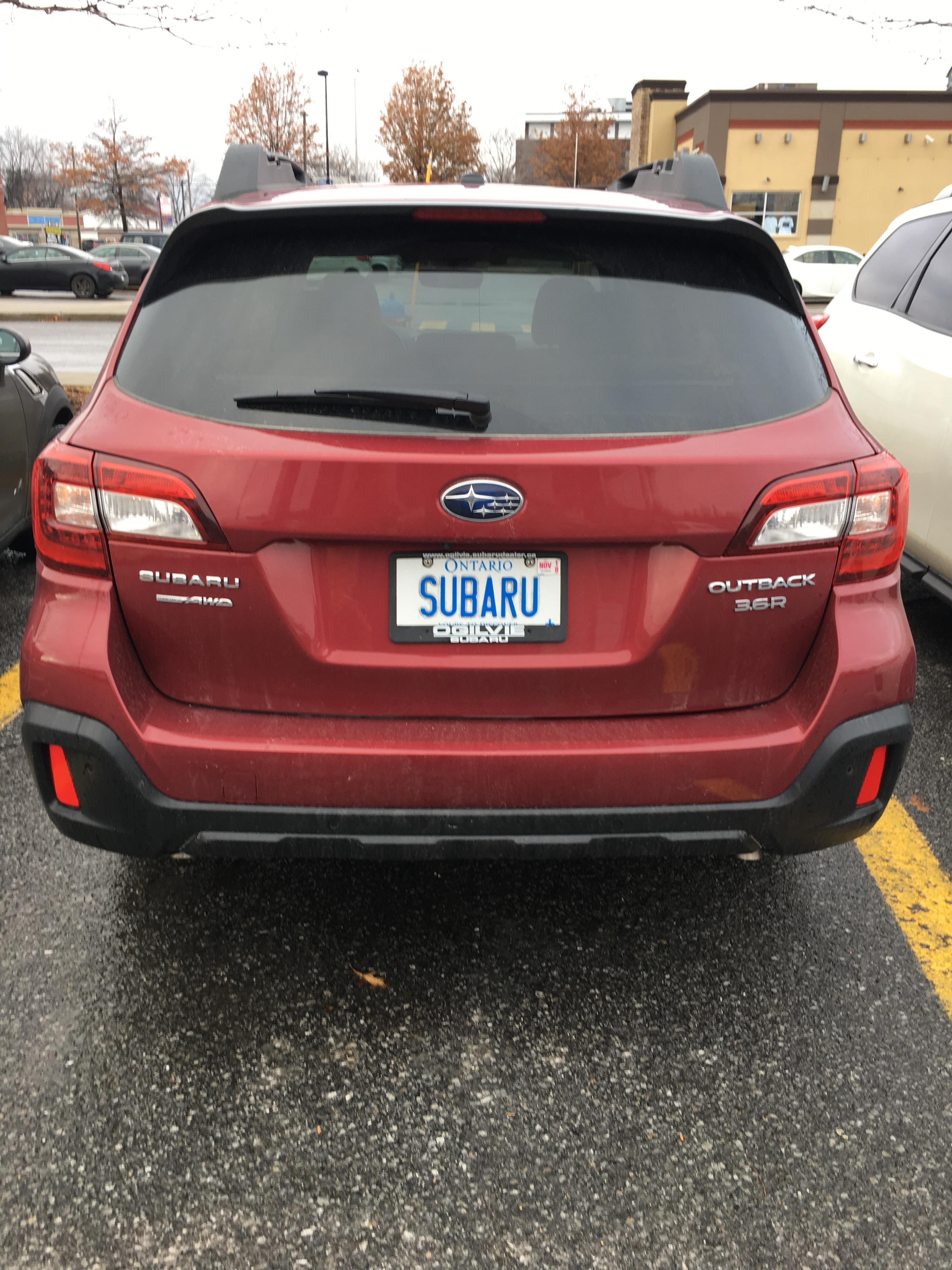 License plate “SUBARU” on a Subaru r/mildlyinteresting