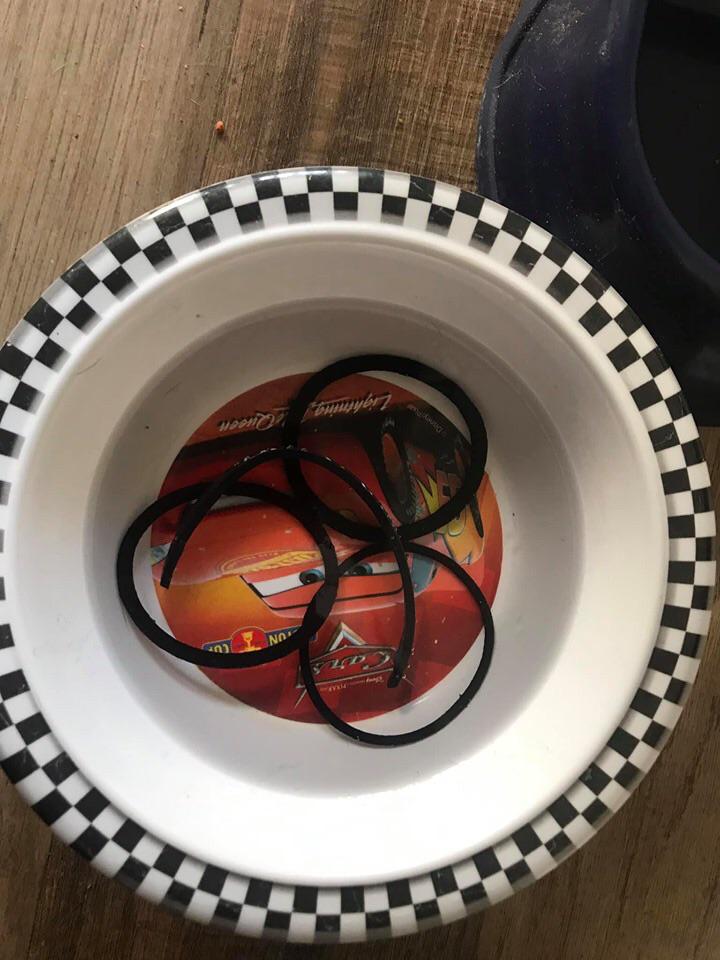 My cat always puts hair ties in her bowl r/mildlyinteresting
