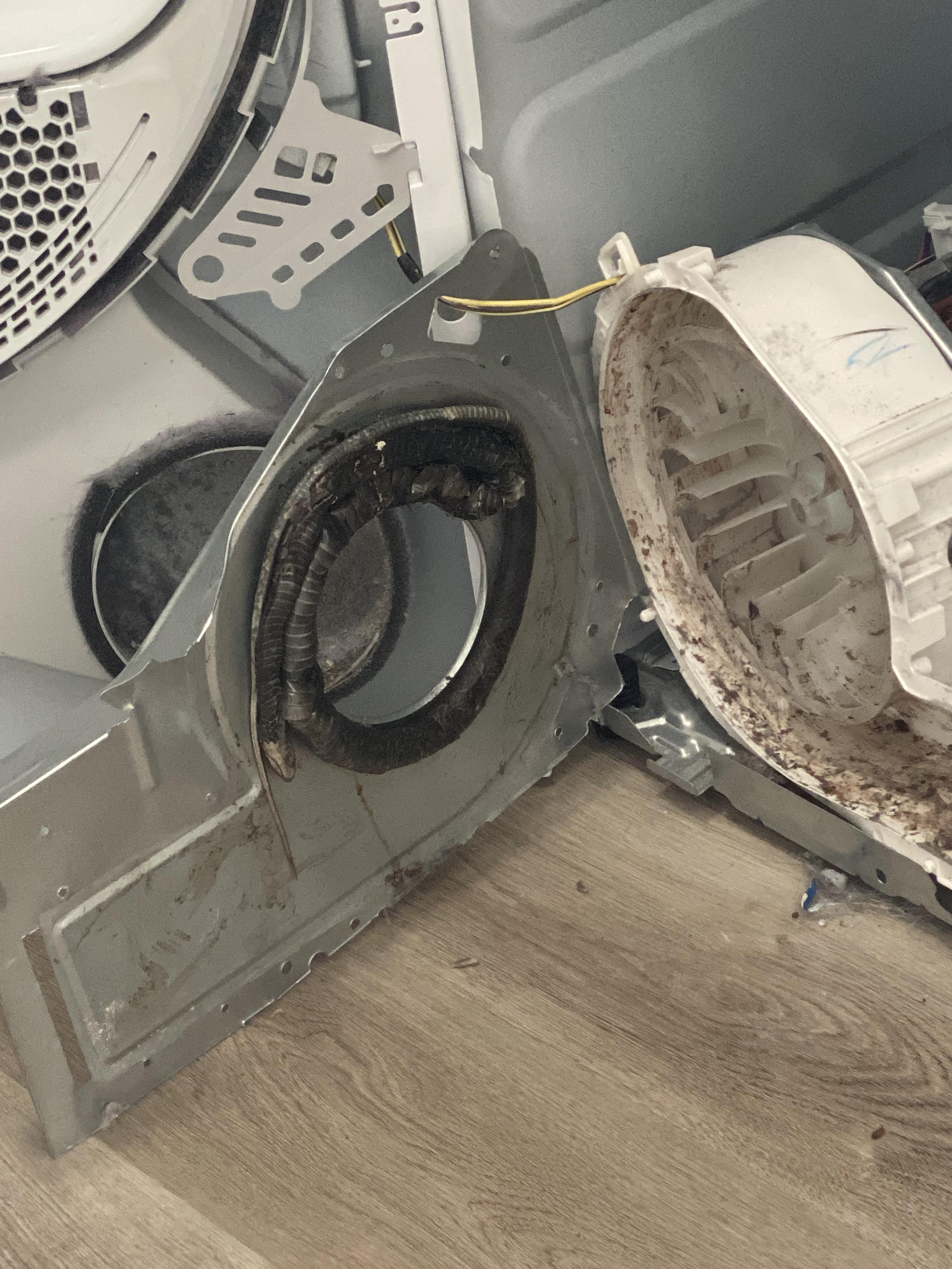 Just moved to Florida…snake crawled into my outside dryer vent r/WTF