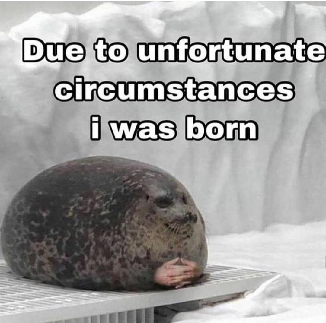 me_irl me_irl